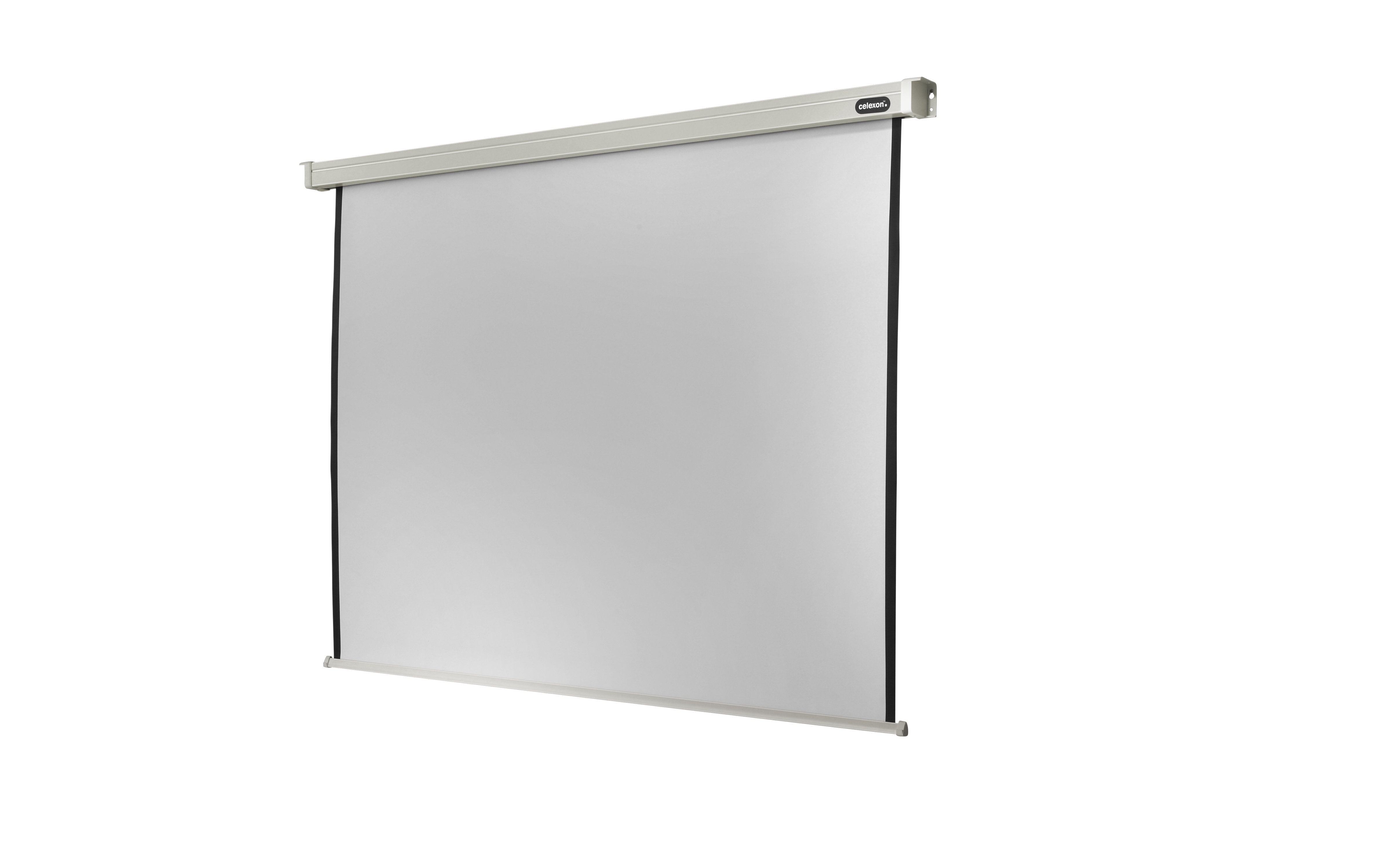 celexon Leinwand Motor Professional 220 x 165 cm