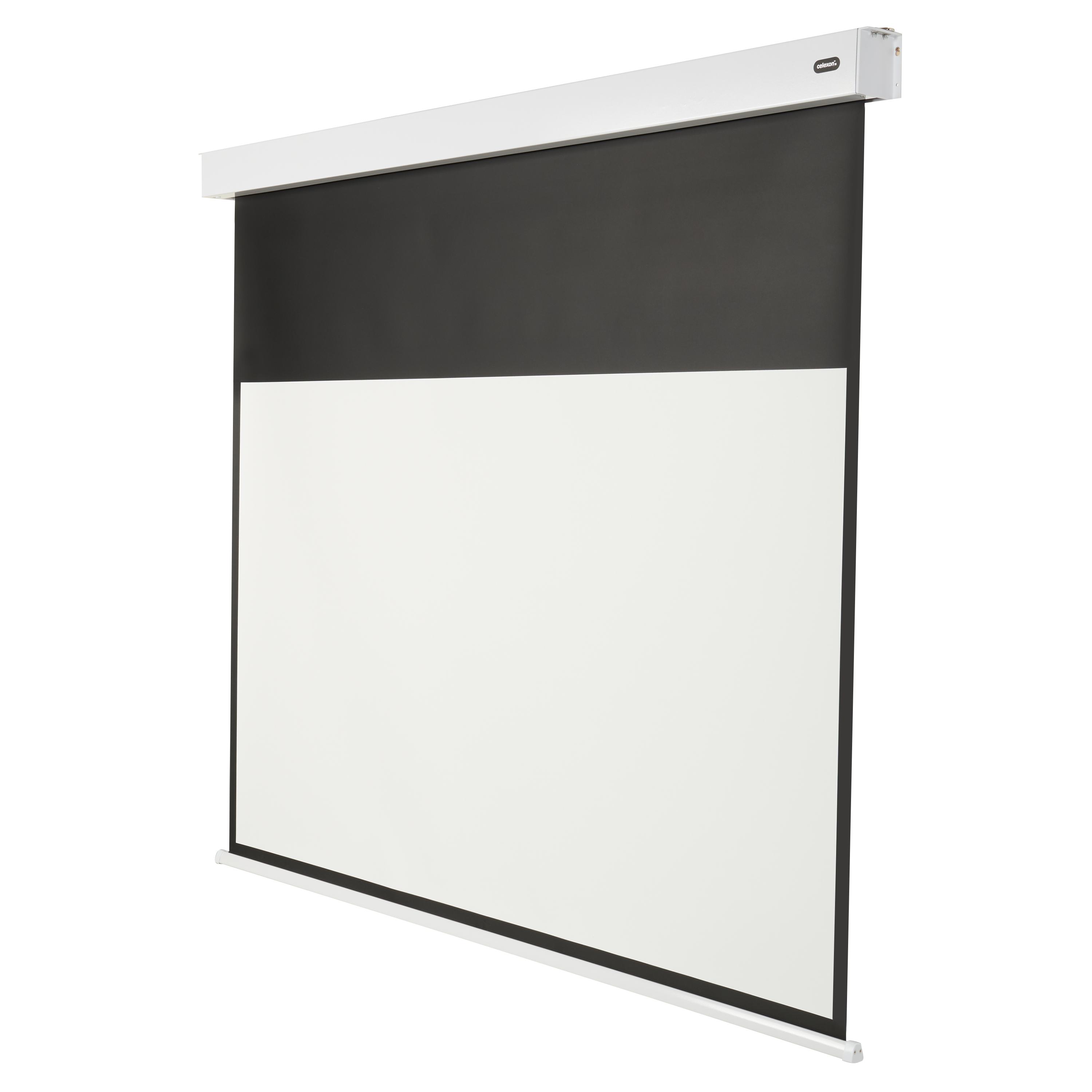 celexon Batterie Leinwand V2.0 Motor Professional Plus 280 x 158 cm