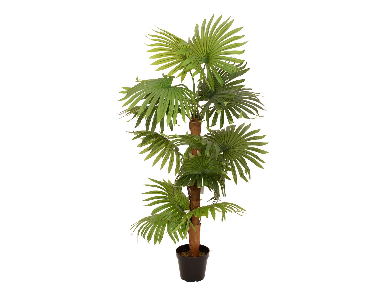 EUROPALMS Fächerpalme, Kunstpflanze, 130cm EUROPALMS Fächerpalme, Kunstpflanze, 130cm