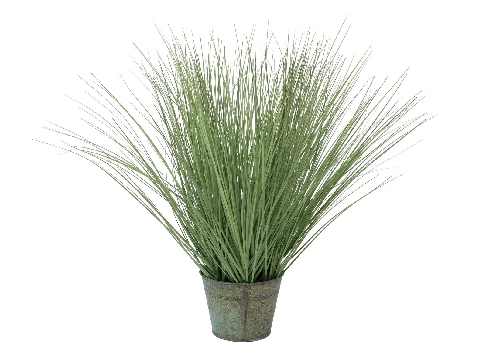 EUROPALMS Ziergras, künstlich, 65cm EUROPALMS Ziergras, künstlich, 65cm
