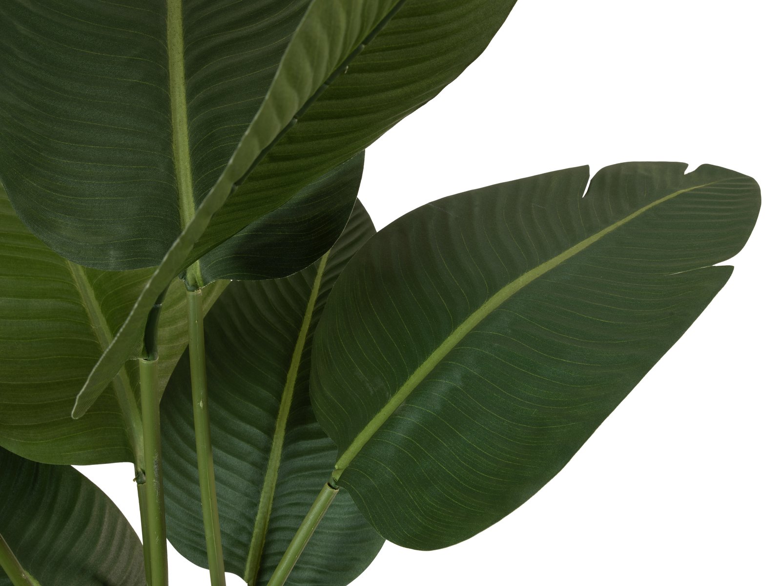 EUROPALMS Strelitzie, Kunstpflanze, 110cm EUROPALMS Strelitzie, Kunstpflanze, 110cm