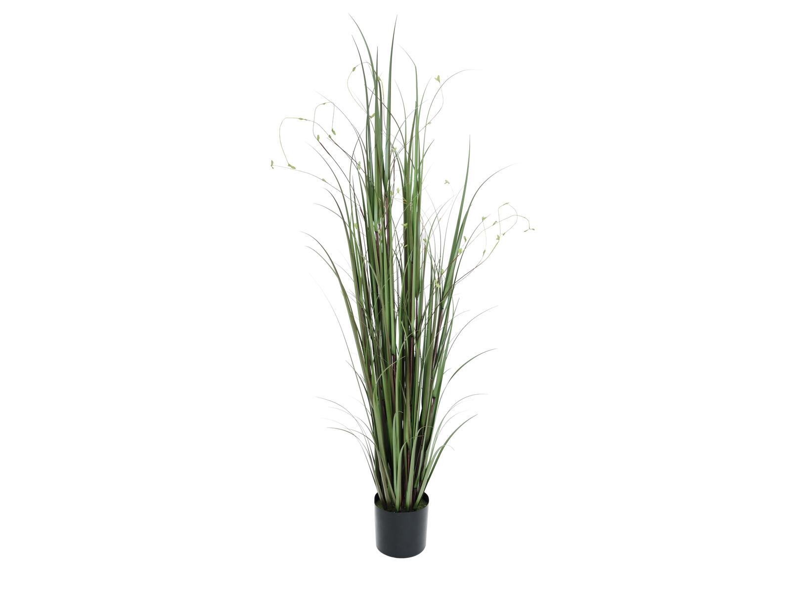EUROPALMS Weidenzweiggras, künstlich, 183cm EUROPALMS Weidenzweiggras, künstlich, 183cm