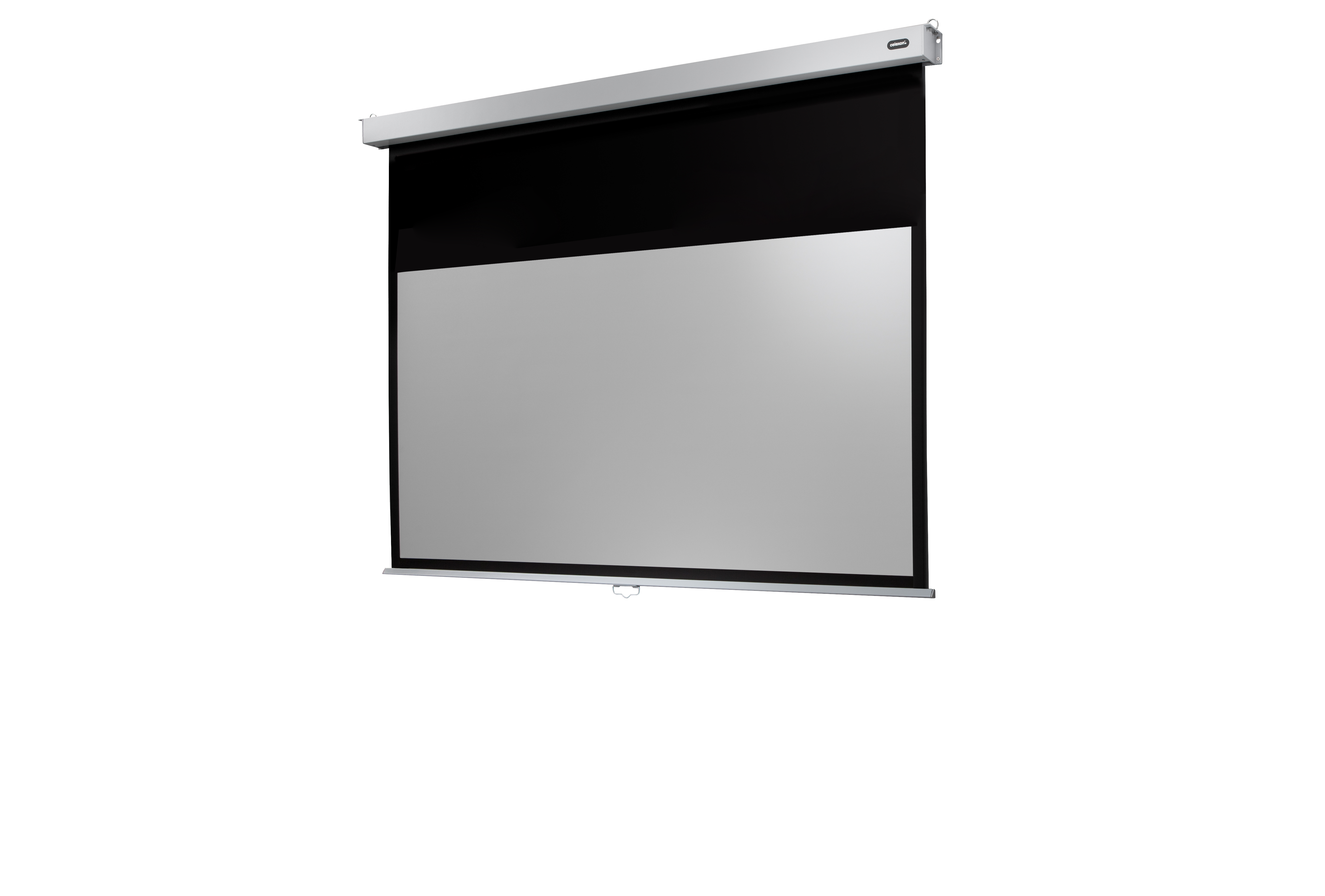 celexon Leinwand Rollo Professional Plus 220 x 124 cm