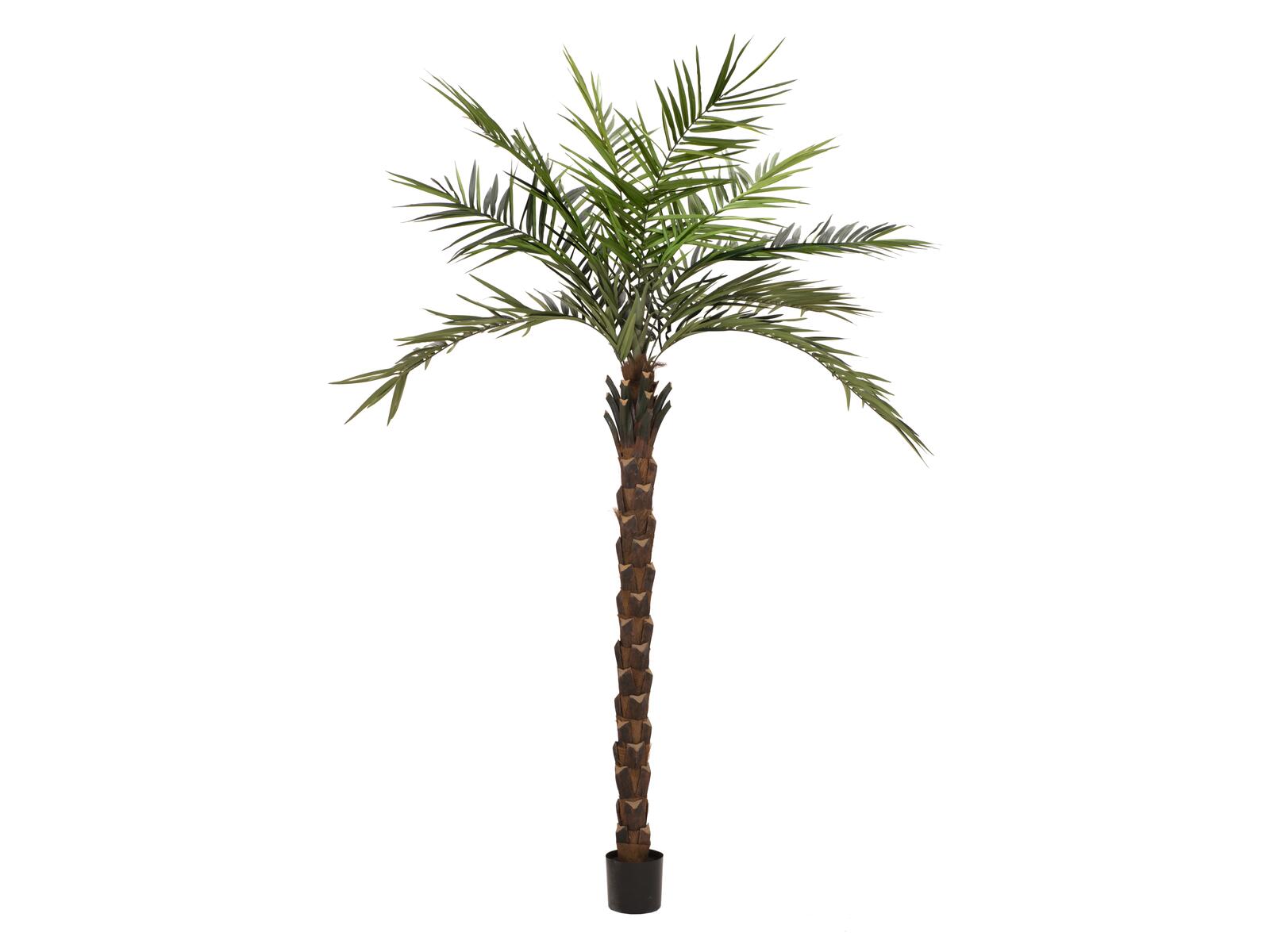 EUROPALMS Kentia Palme deluxe, Kunstpflanze 300cm EUROPALMS Kentia Palme deluxe, Kunstpflanze 300cm
