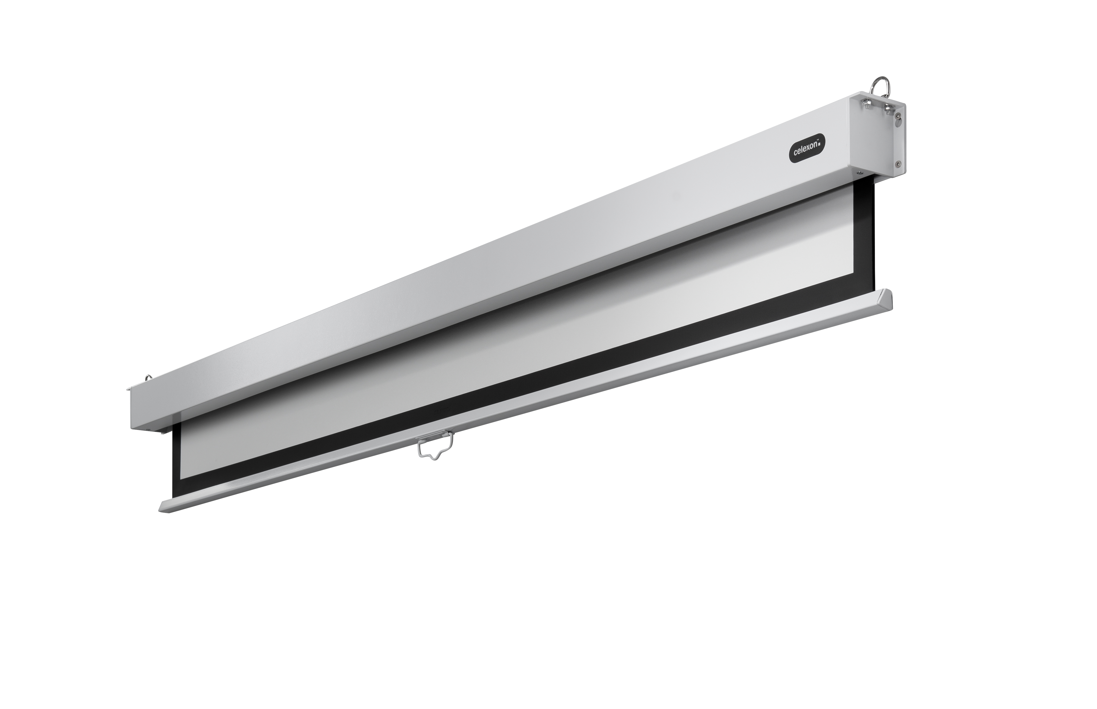 celexon Leinwand Rollo Professional Plus 220 x 124 cm