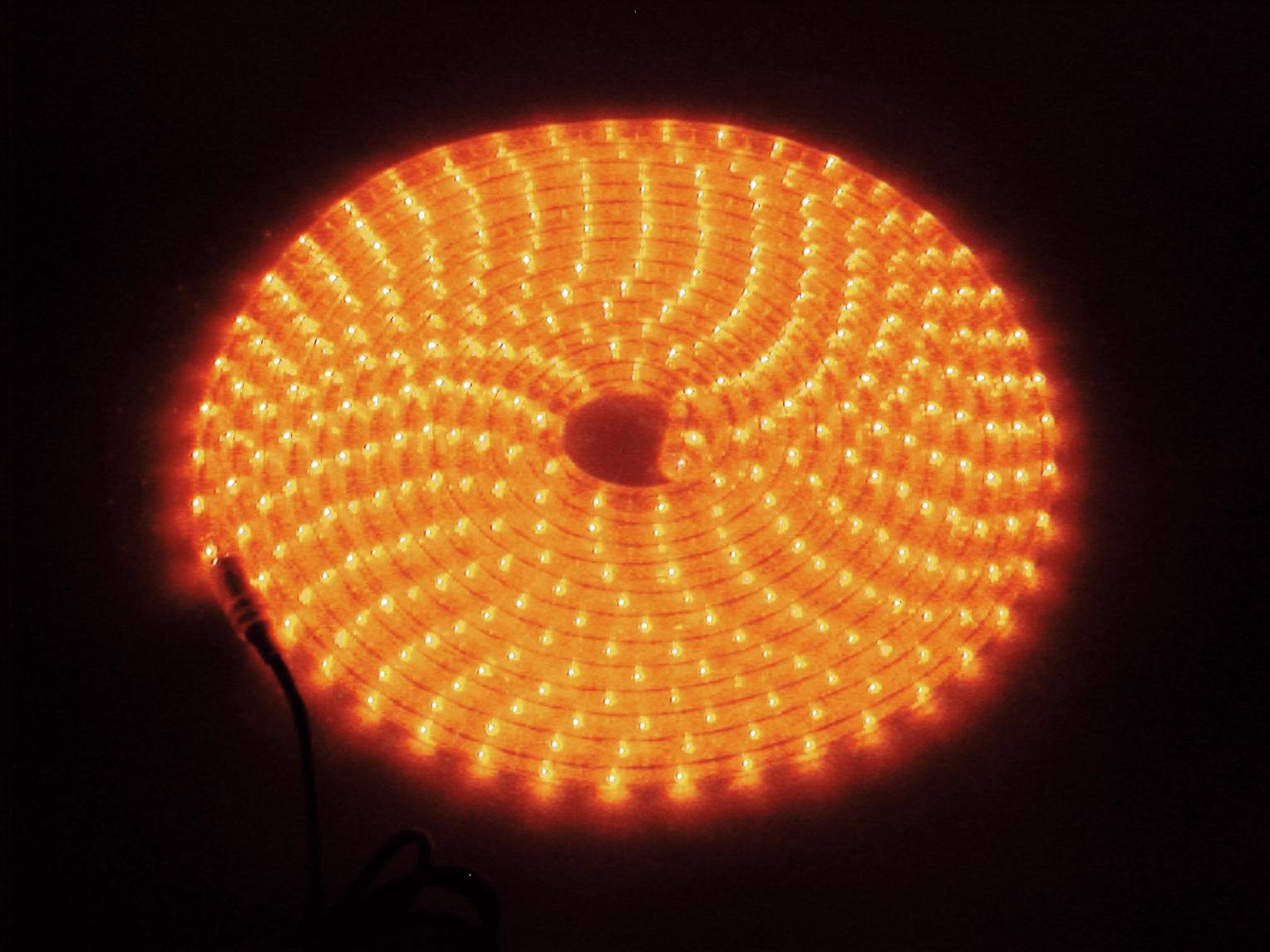 EUROLITE RUBBERLIGHT RL1-230V orange 5m EUROLITE RUBBERLIGHT RL1-230V orange 5m