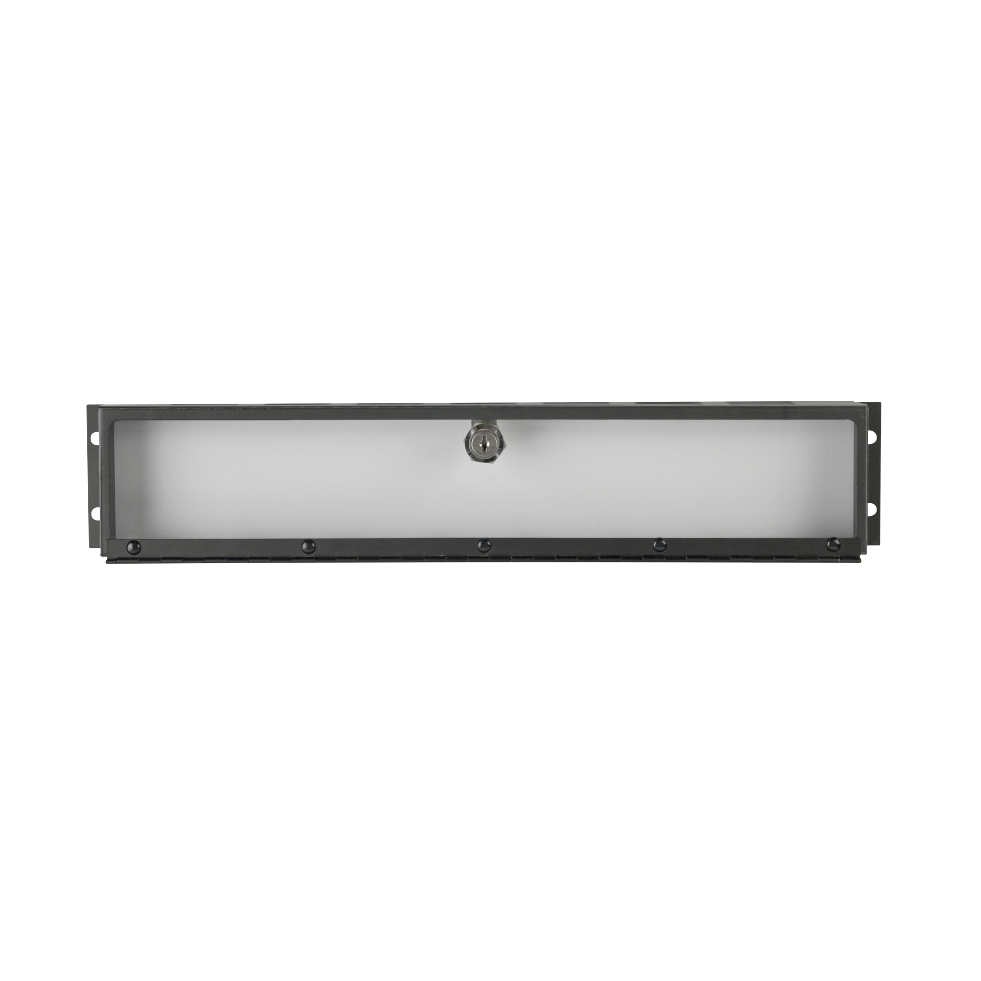 SHOWGEAR 19 Inch Protection Panel with Locker 2U 2HE SHOWGEAR 19 Inch Protection Panel with Locker 2U 2HE