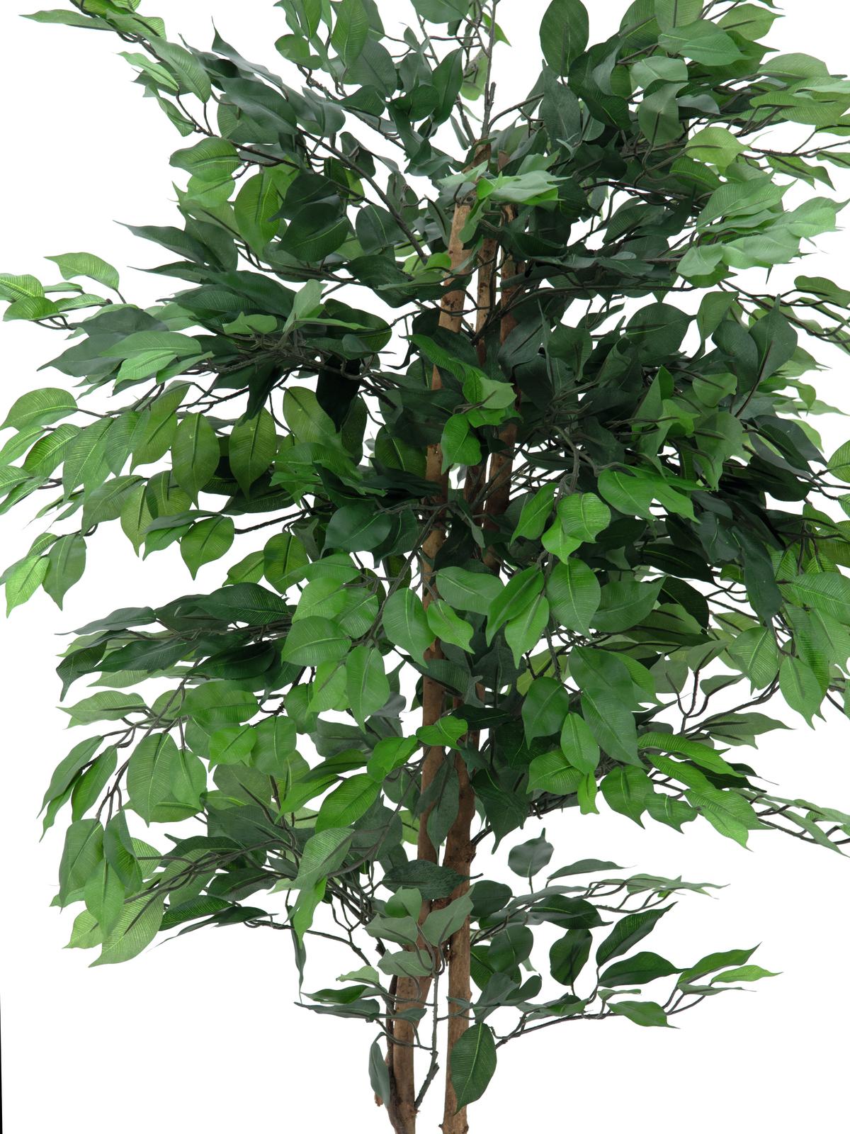 EUROPALMS Ficus-Benjamini Multi-Stamm, Kunstpflanze, 210cm EUROPALMS Ficus-Benjamini Multi-Stamm, Kunstpflanze, 210cm