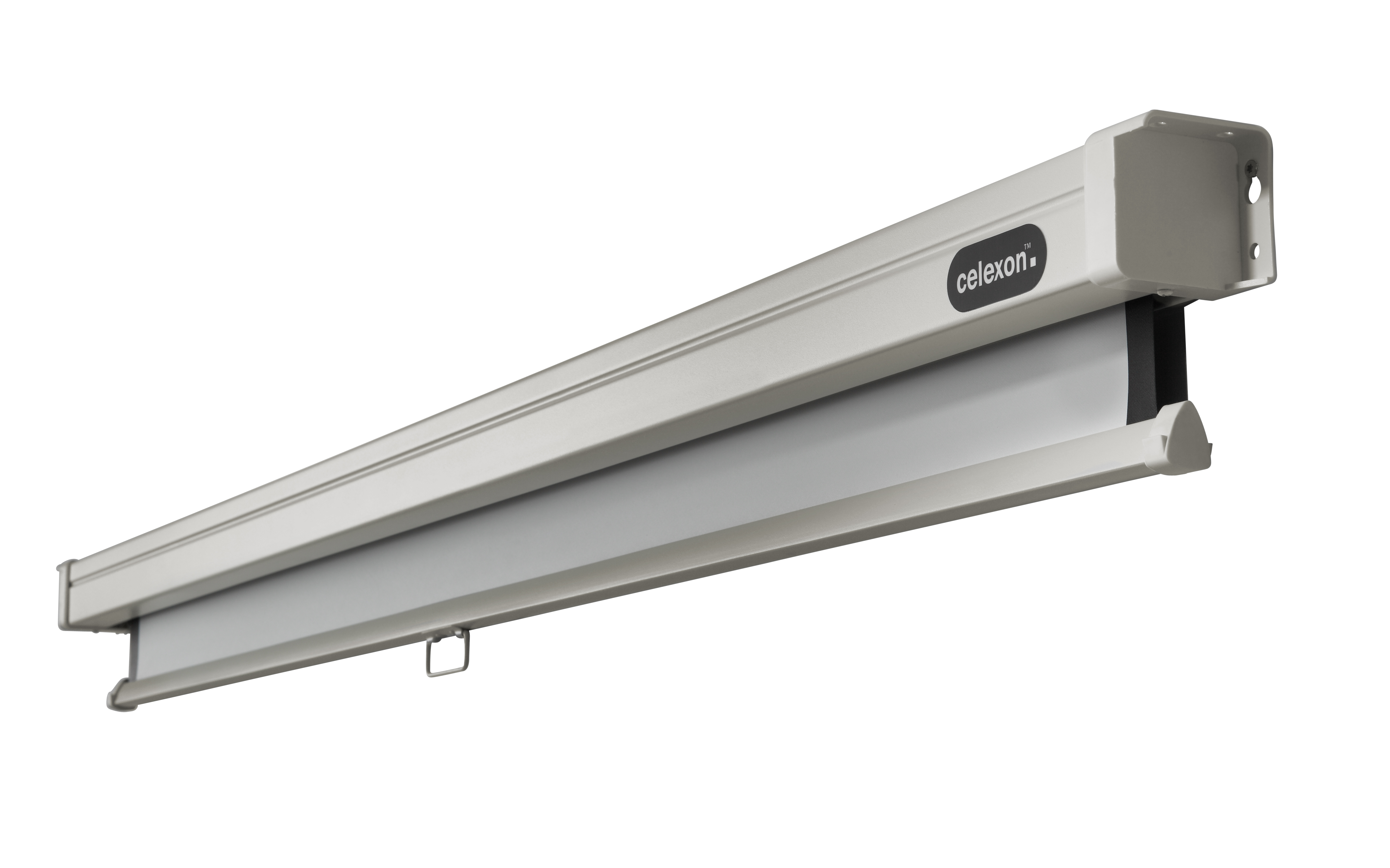 celexon Leinwand Rollo Professional 120 x 120 cm