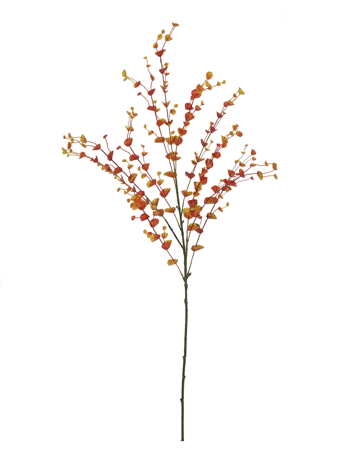 EUROPALMS Eukalyptuszweig, künstlich, orange, 110cm EUROPALMS Eukalyptuszweig, künstlich, orange, 110cm