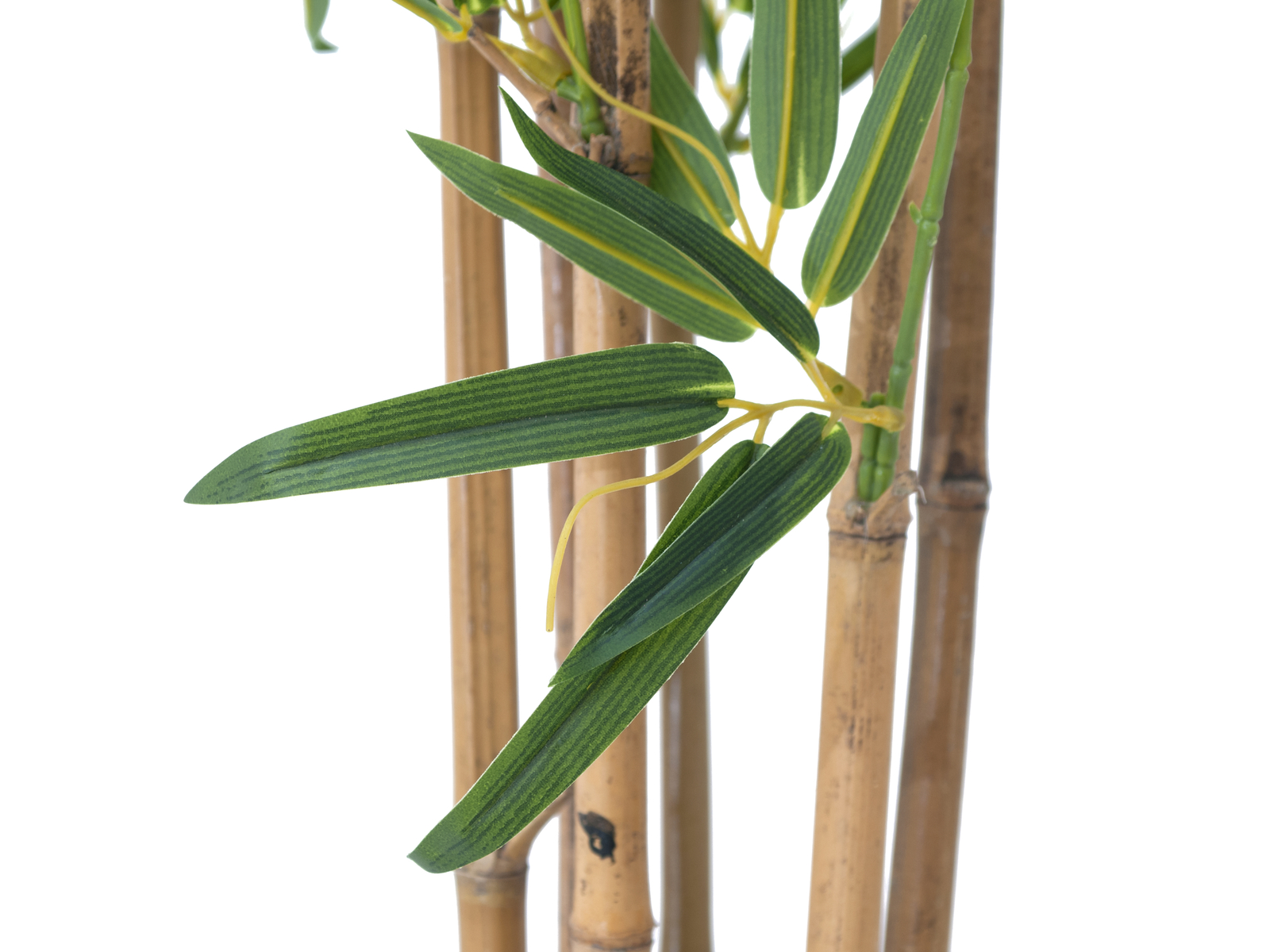 EUROPALMS Bambus deluxe, Kunstpflanze, 120cm EUROPALMS Bambus deluxe, Kunstpflanze, 120cm