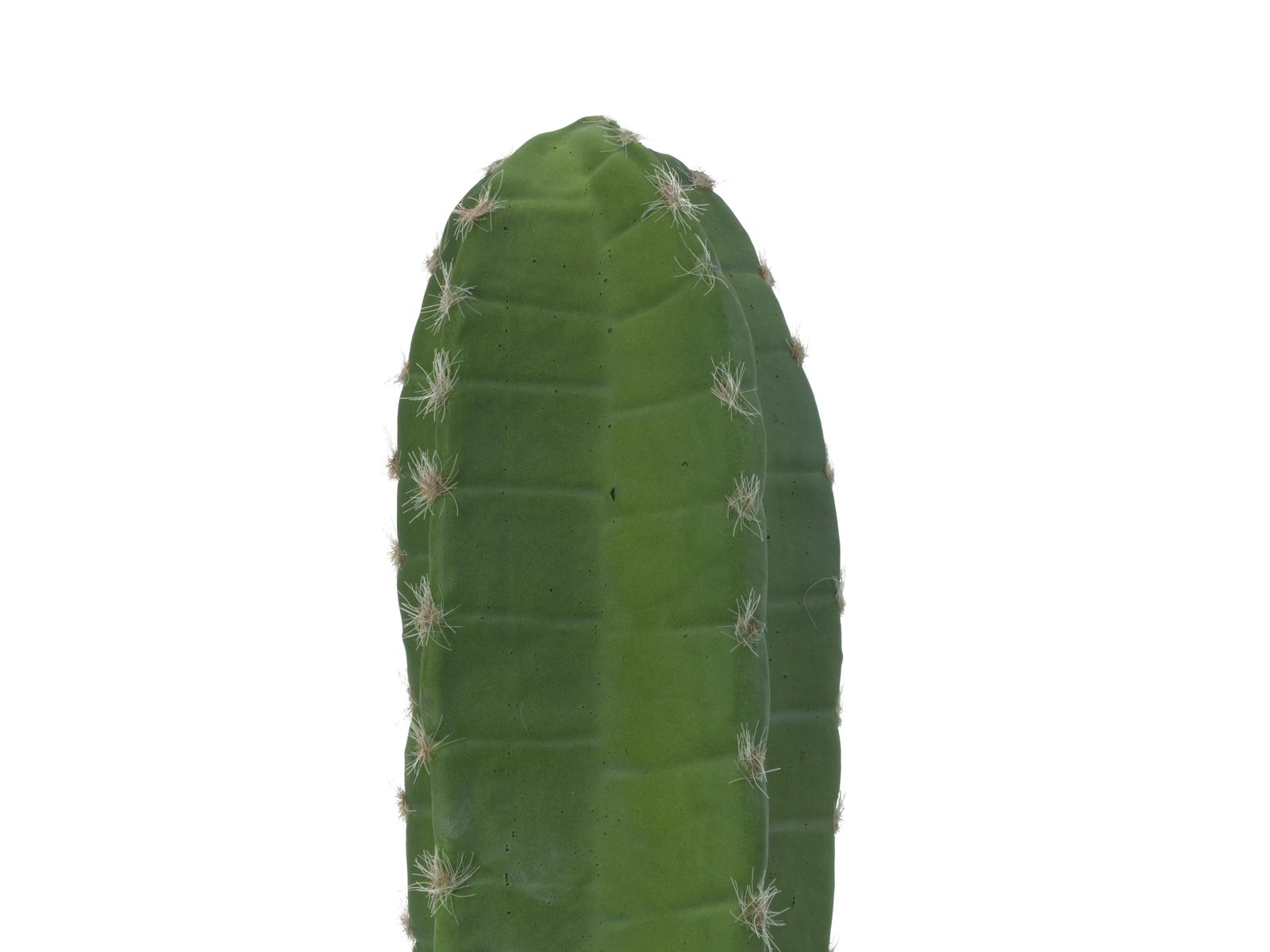 EUROPALMS Mexikanischer Kaktus, Kunstpflanze, grün, 97cm
