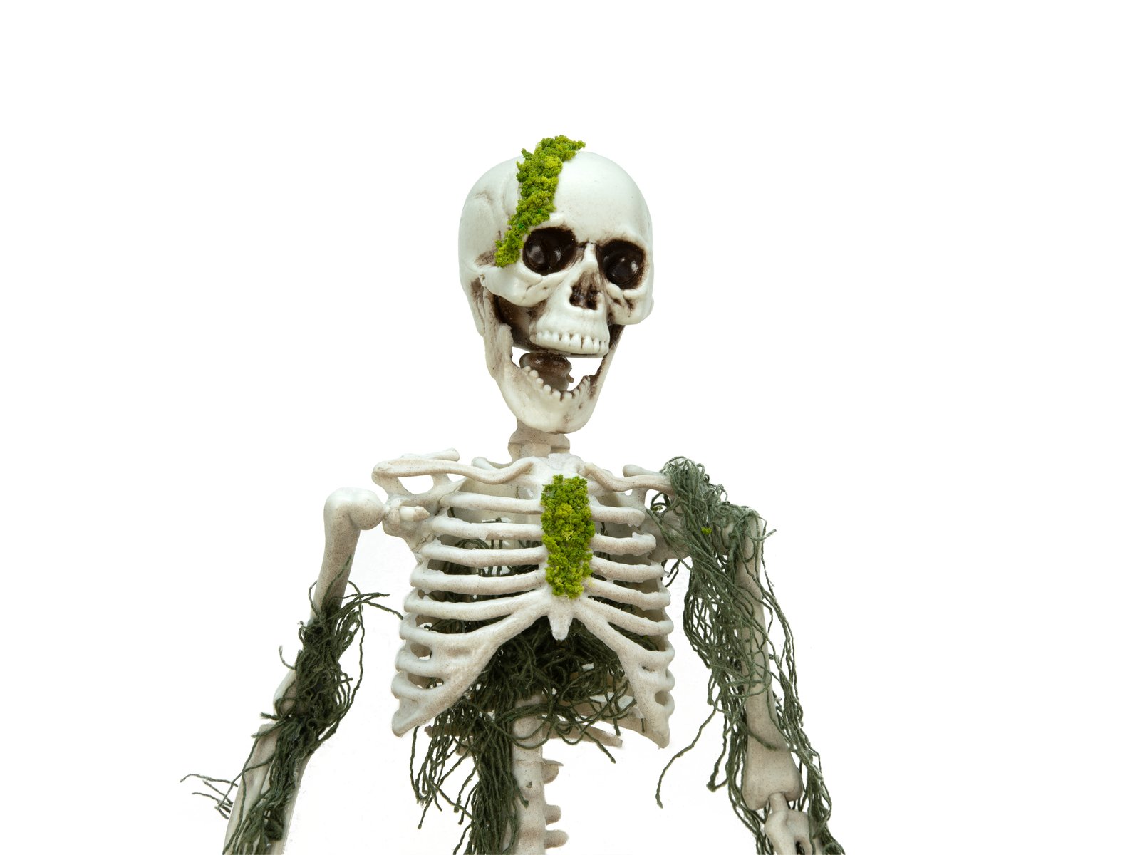 EUROPALMS Halloween Skelett mit Moos, 40cm EUROPALMS Halloween Skelett mit Moos, 40cm