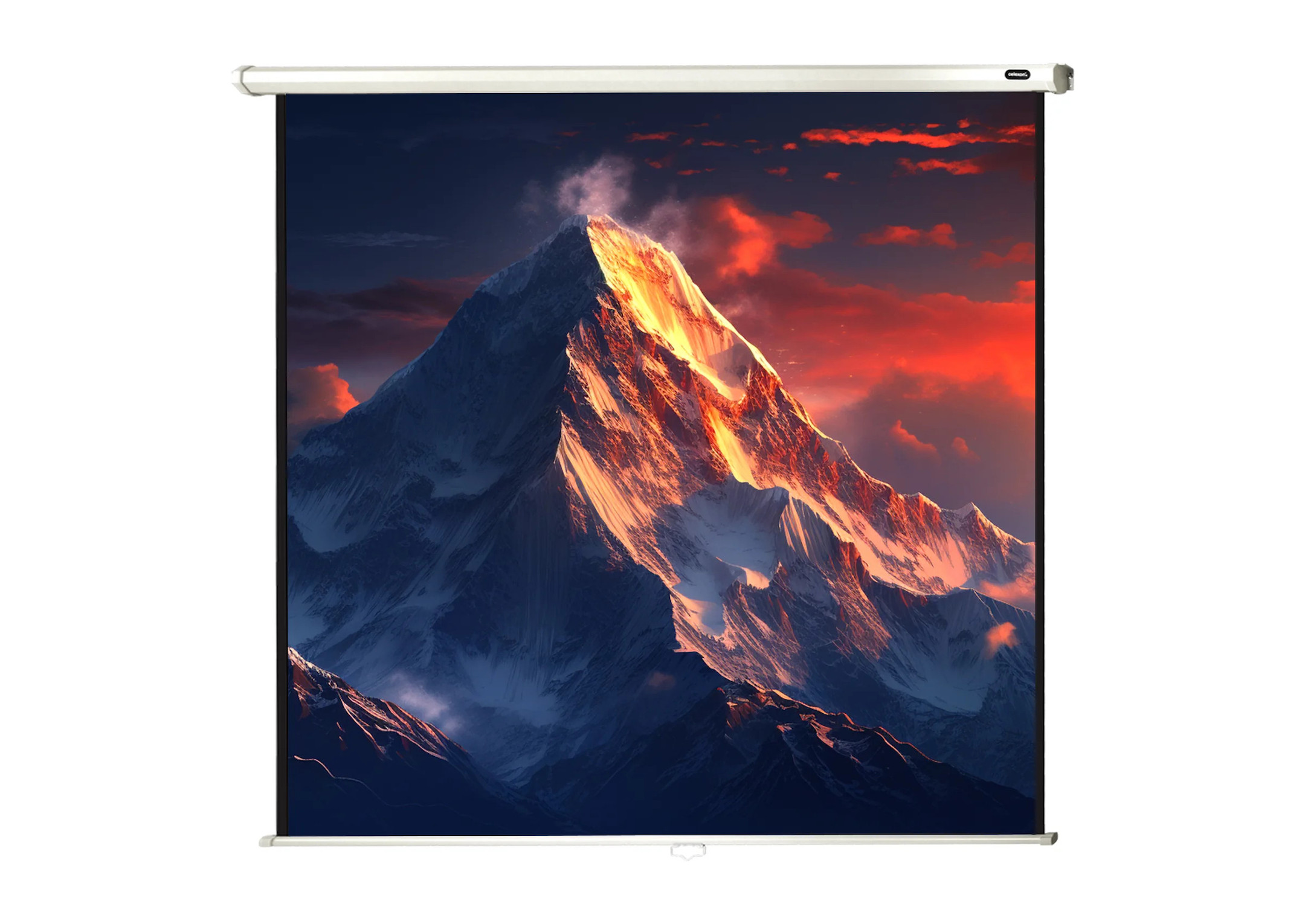celexon Leinwand Rollo Economy 220 x 220 cm - 122" celexon Leinwand Rollo Economy 220 x 220 cm - 122"