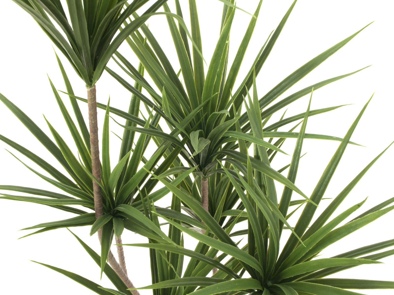 EUROPALMS Yucca Palme, Kunstpflanze, 130cm EUROPALMS Yucca Palme, Kunstpflanze, 130cm