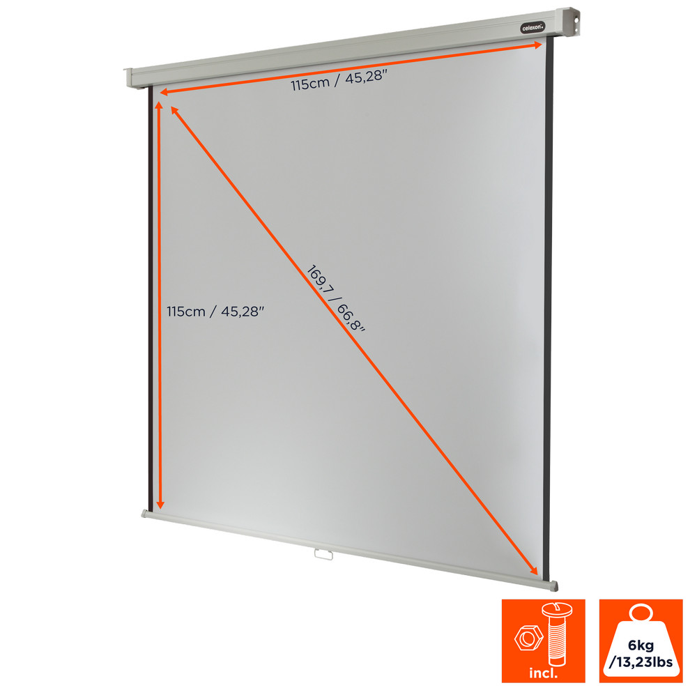 celexon Leinwand Rollo Professional 120 x 120 cm - 67"