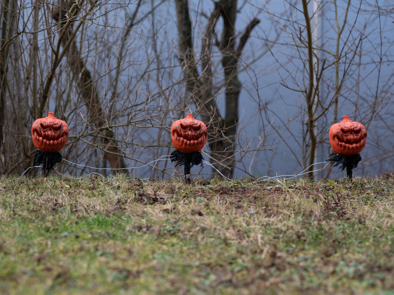 EUROPALMS Halloween Kürbisse mit Erdspieß, 3er-Set, 39cm EUROPALMS Halloween Kürbisse mit Erdspieß, 3er-Set, 39cm
