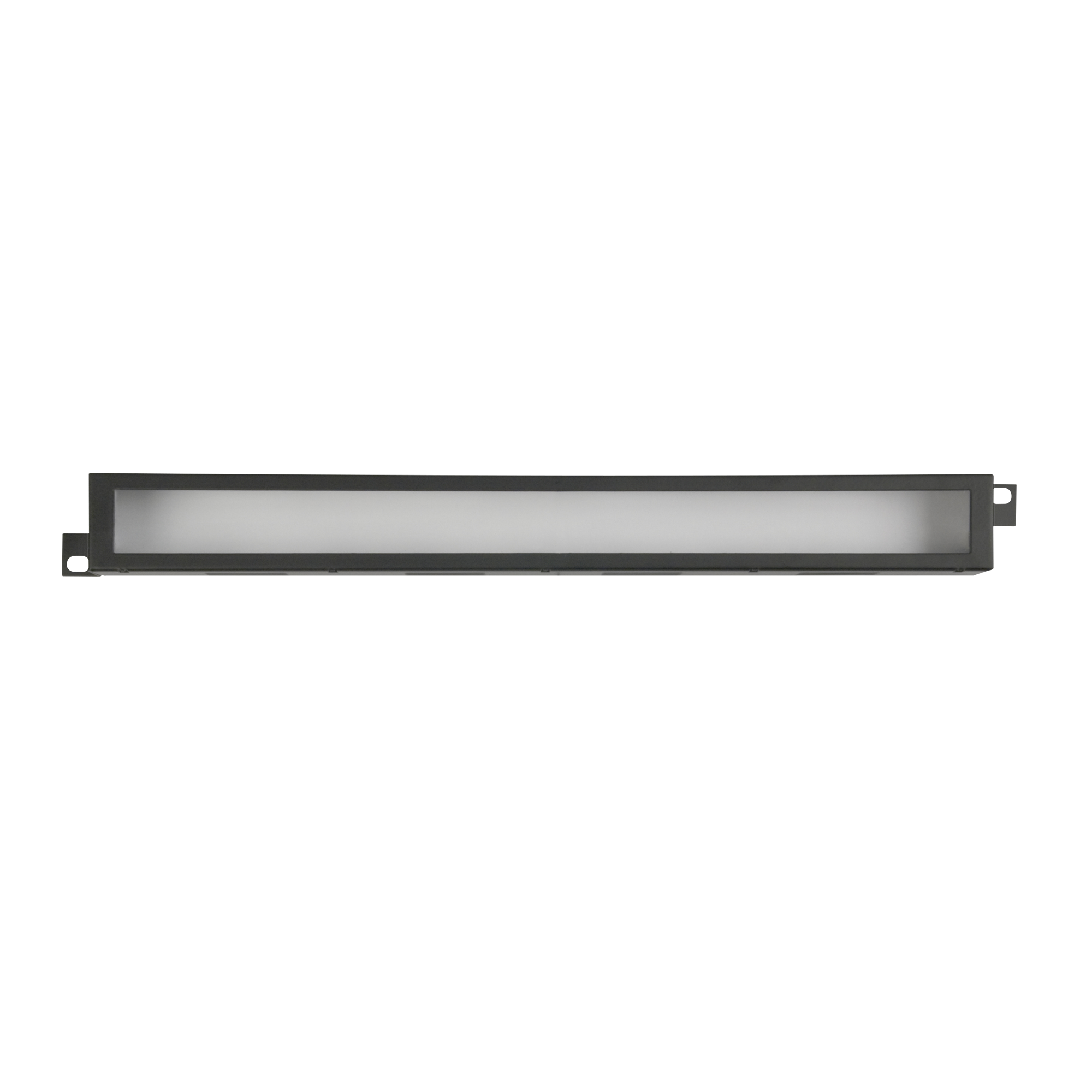 SHOWGEAR 19 Inch Protection Panel 19 Zoll/1HE SHOWGEAR 19 Inch Protection Panel 19 Zoll/1HE