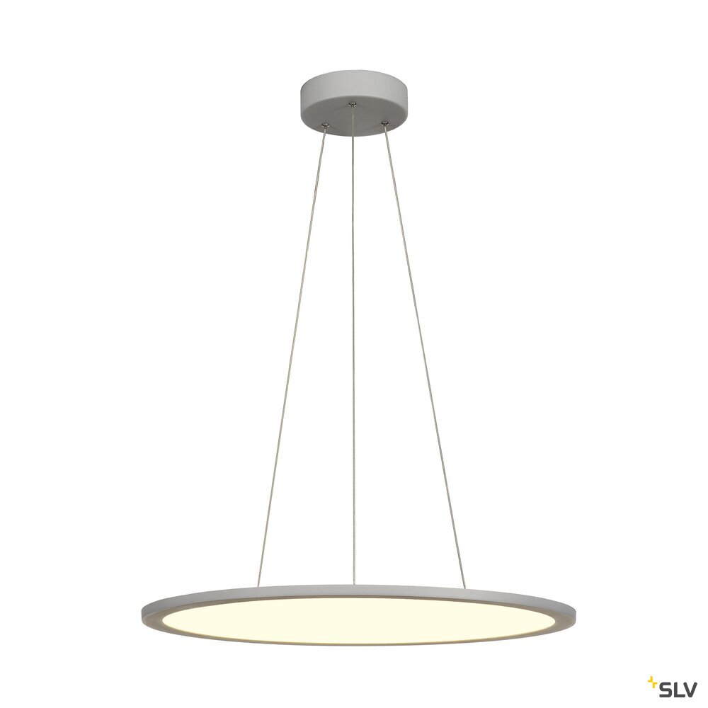 PANEL 60 DALI Indoor LED Pendelleuchten rund grau 4000K