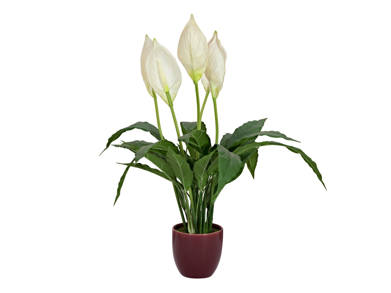 EUROPALMS Einblatt, Kunstpflanze, 60cm EUROPALMS Einblatt, Kunstpflanze, 60cm