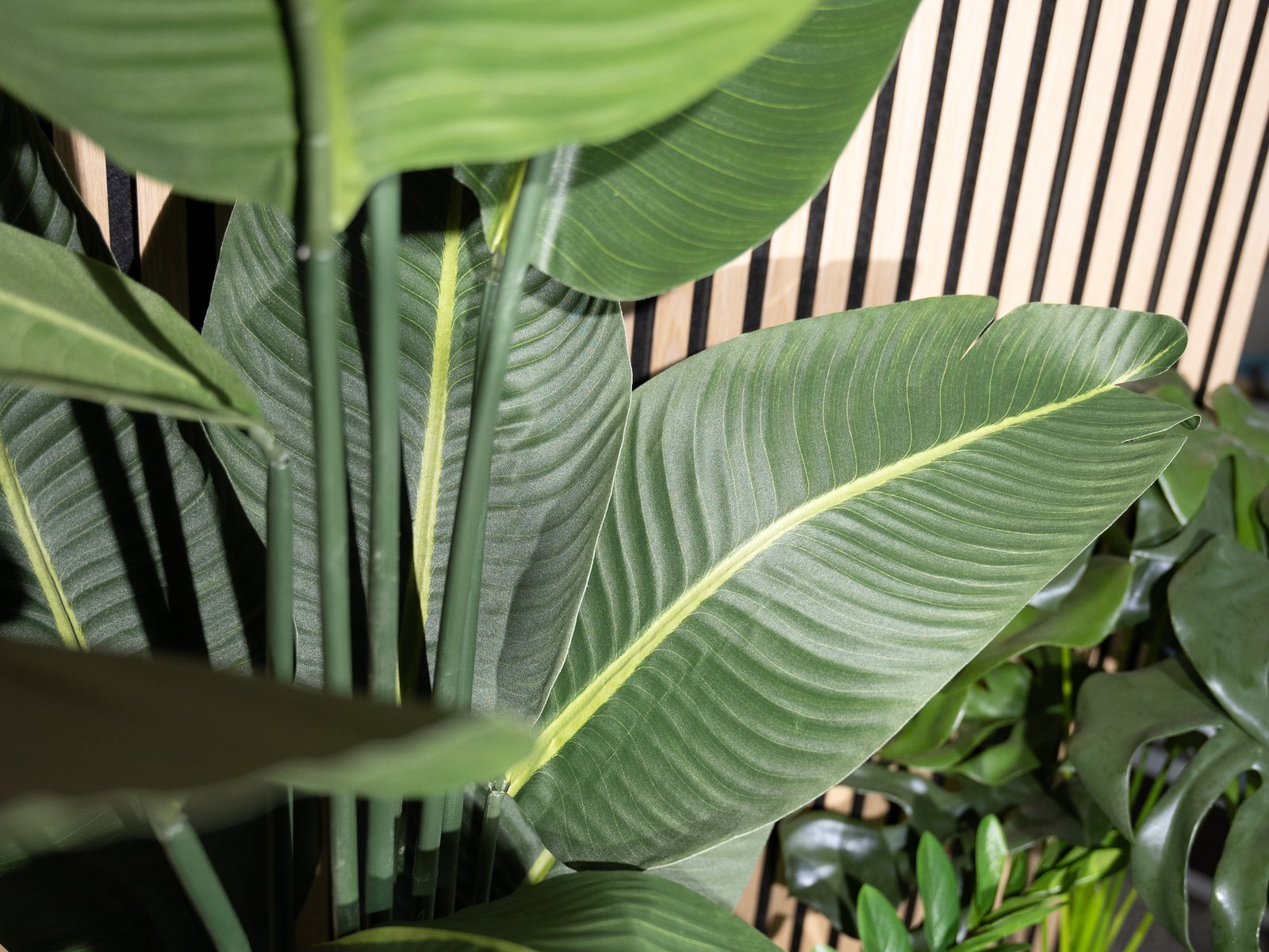EUROPALMS Strelitzie, Kunstpflanze, 110cm EUROPALMS Strelitzie, Kunstpflanze, 110cm
