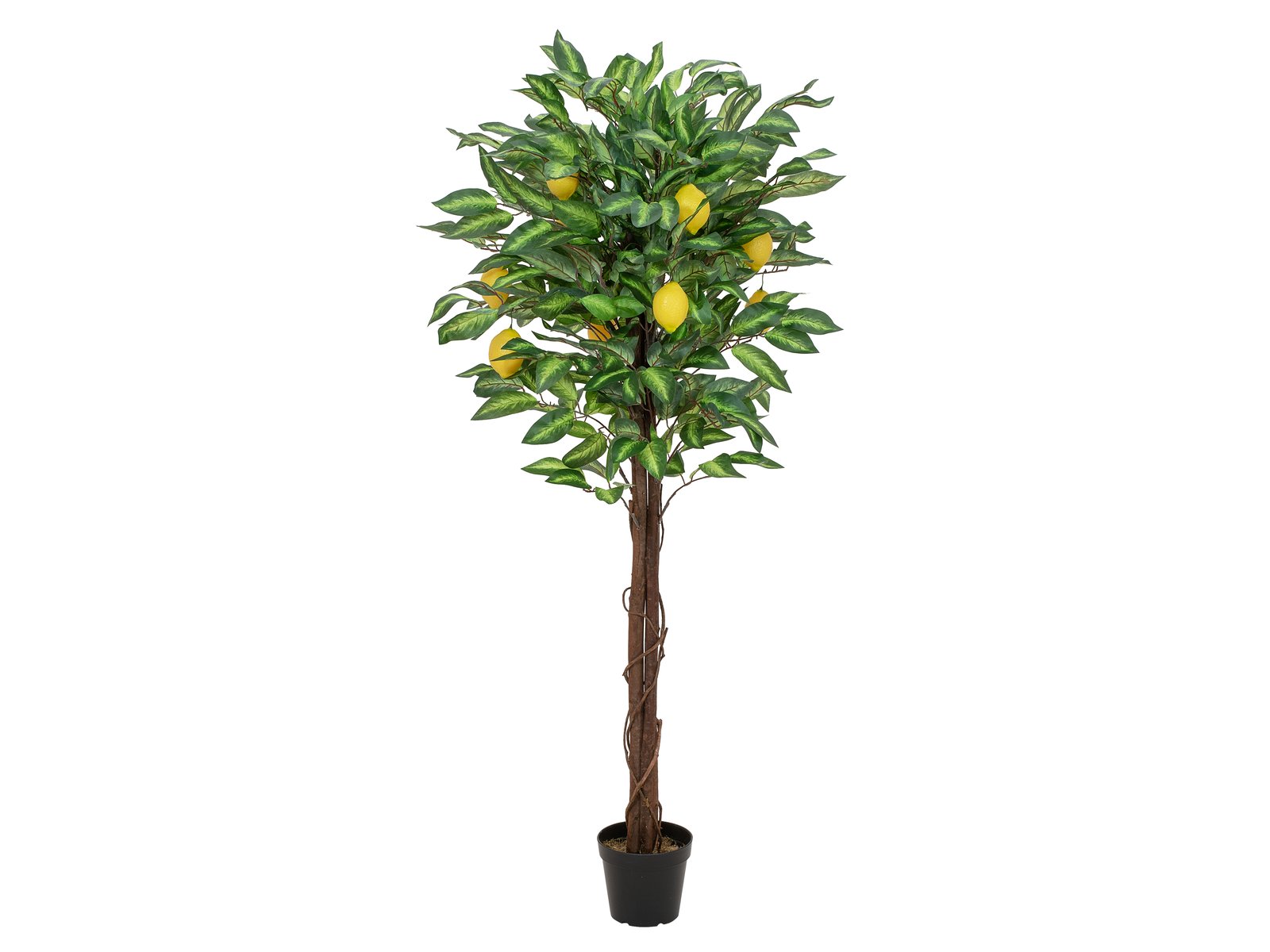EUROPALMS Zitronenbaum, Kunstpflanze, 150cm