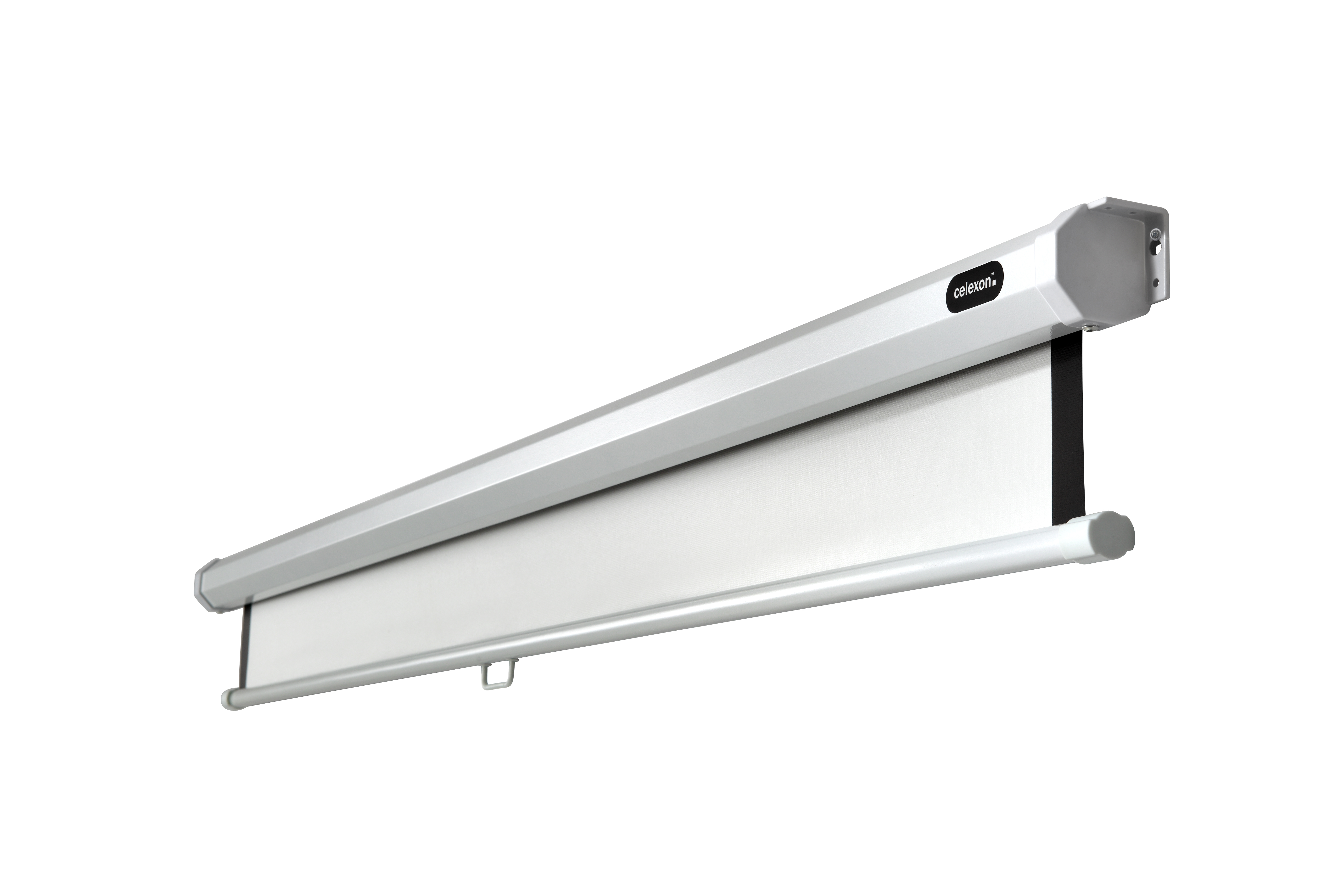 celexon Leinwand Rollo Economy 200 x 200 cm celexon Leinwand Rollo Economy 200 x 200 cm