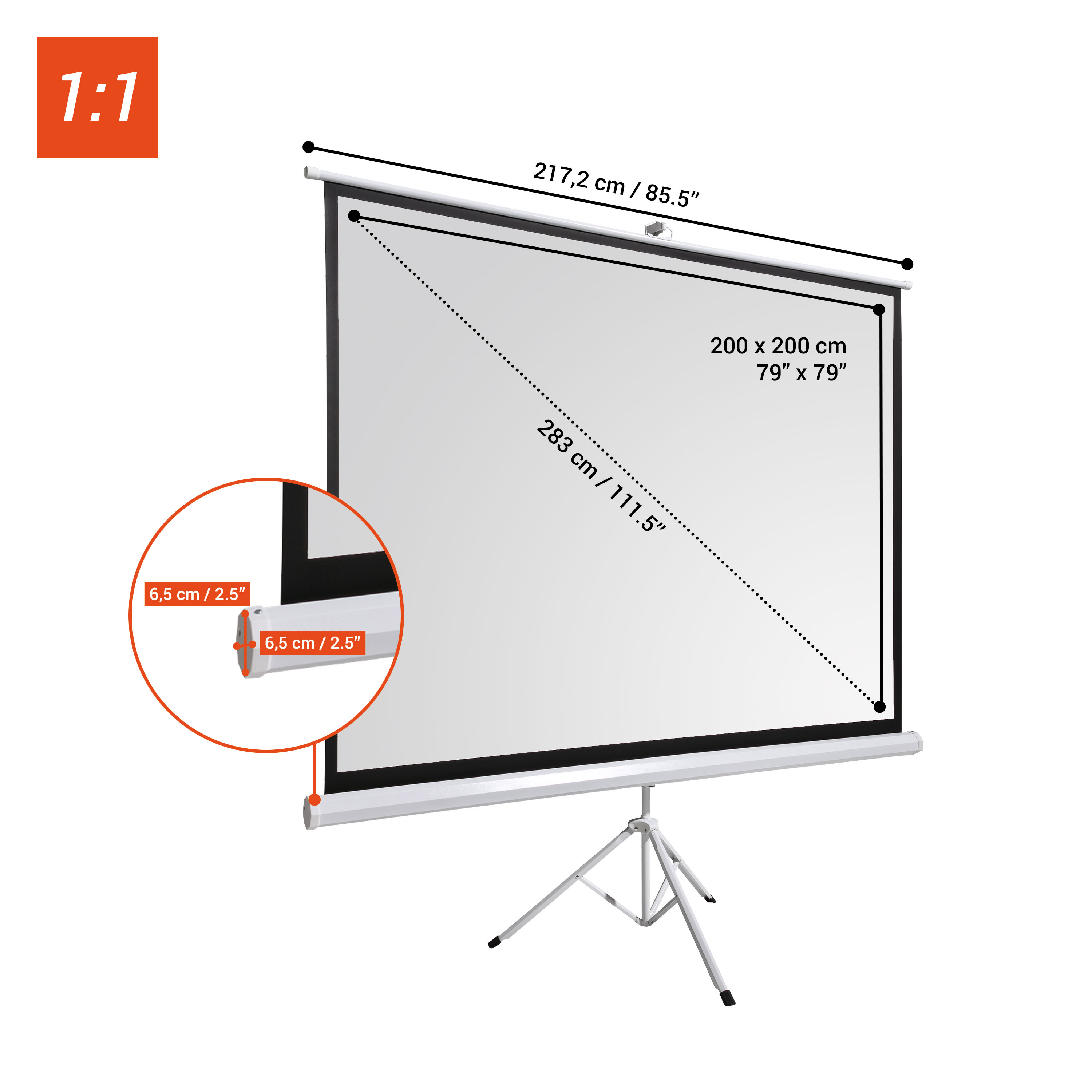 celexon basic 110" Zoll Stativ-Leinwand 1:1 | 200x200cm | 4K Full HD 3D | für Outdoor- & Heim-kino Beamer-Projektionen