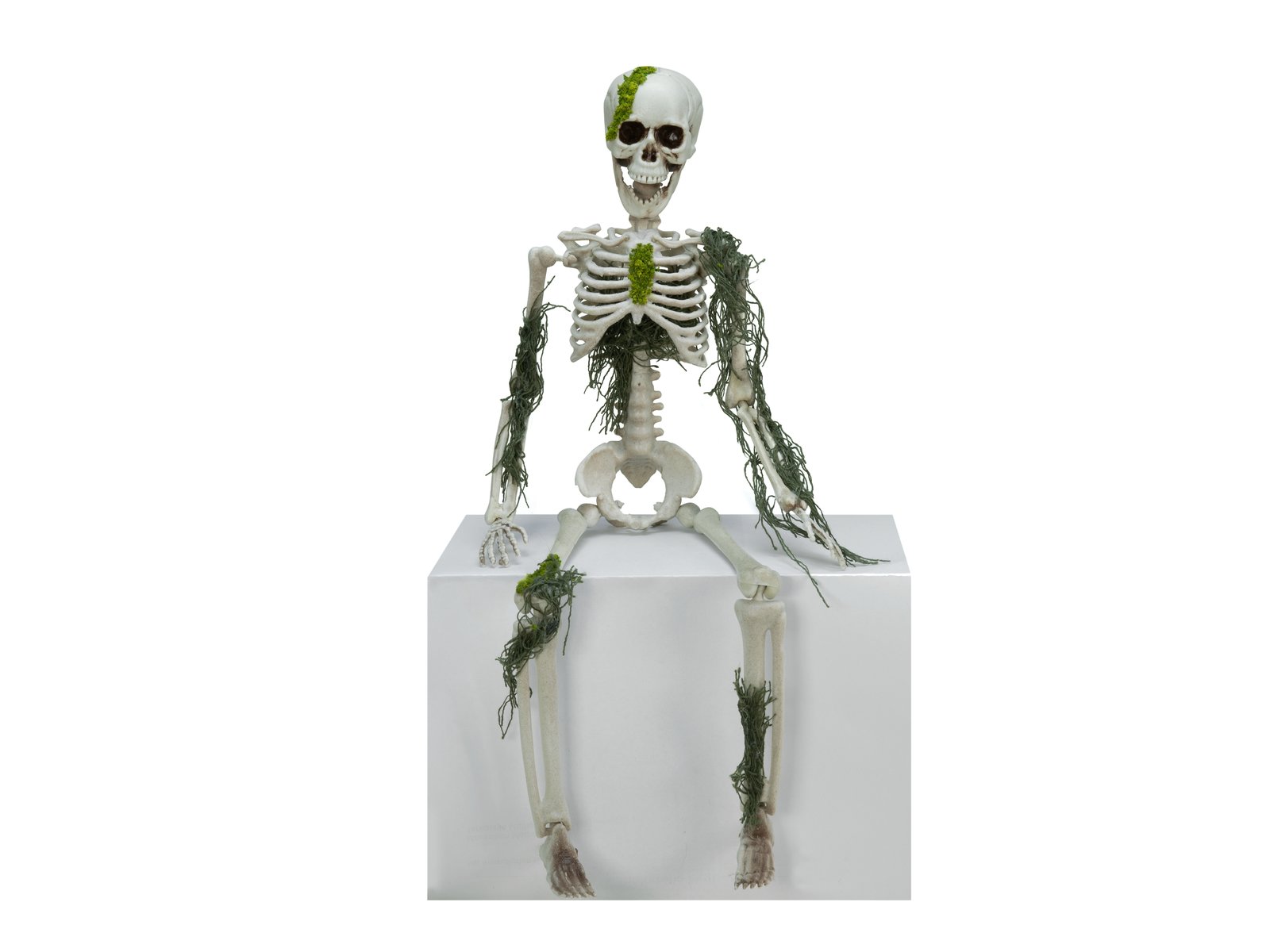 EUROPALMS Halloween Skelett mit Moos, 40cm EUROPALMS Halloween Skelett mit Moos, 40cm