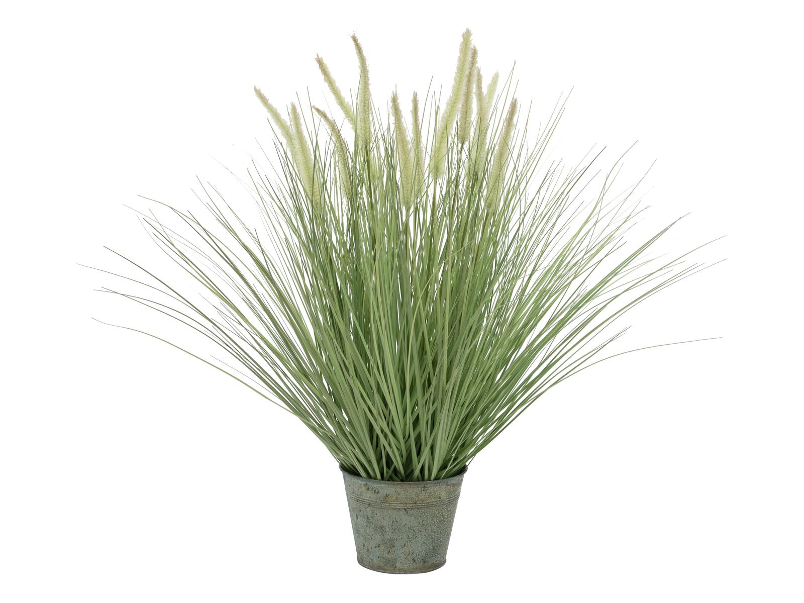 EUROPALMS Ziergras, blühend, künstlich, 70cm EUROPALMS Ziergras, blühend, künstlich, 70cm