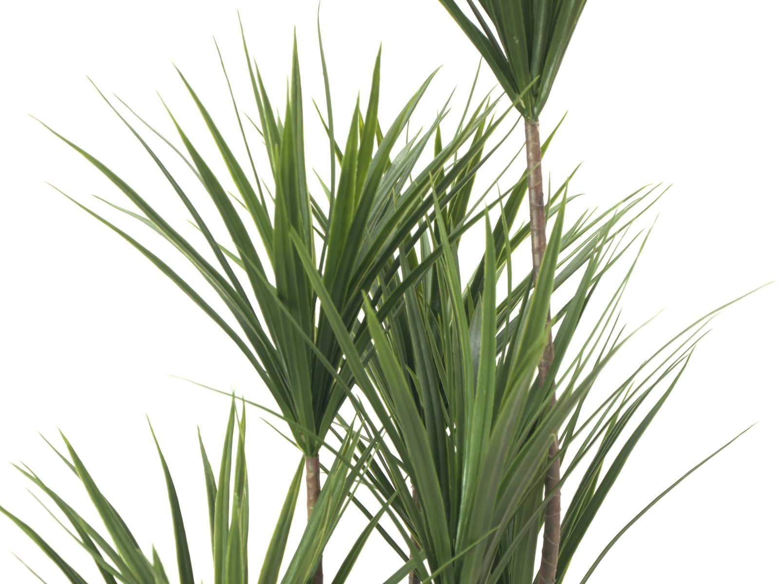EUROPALMS Yucca Palme, Kunstpflanze, 130cm EUROPALMS Yucca Palme, Kunstpflanze, 130cm
