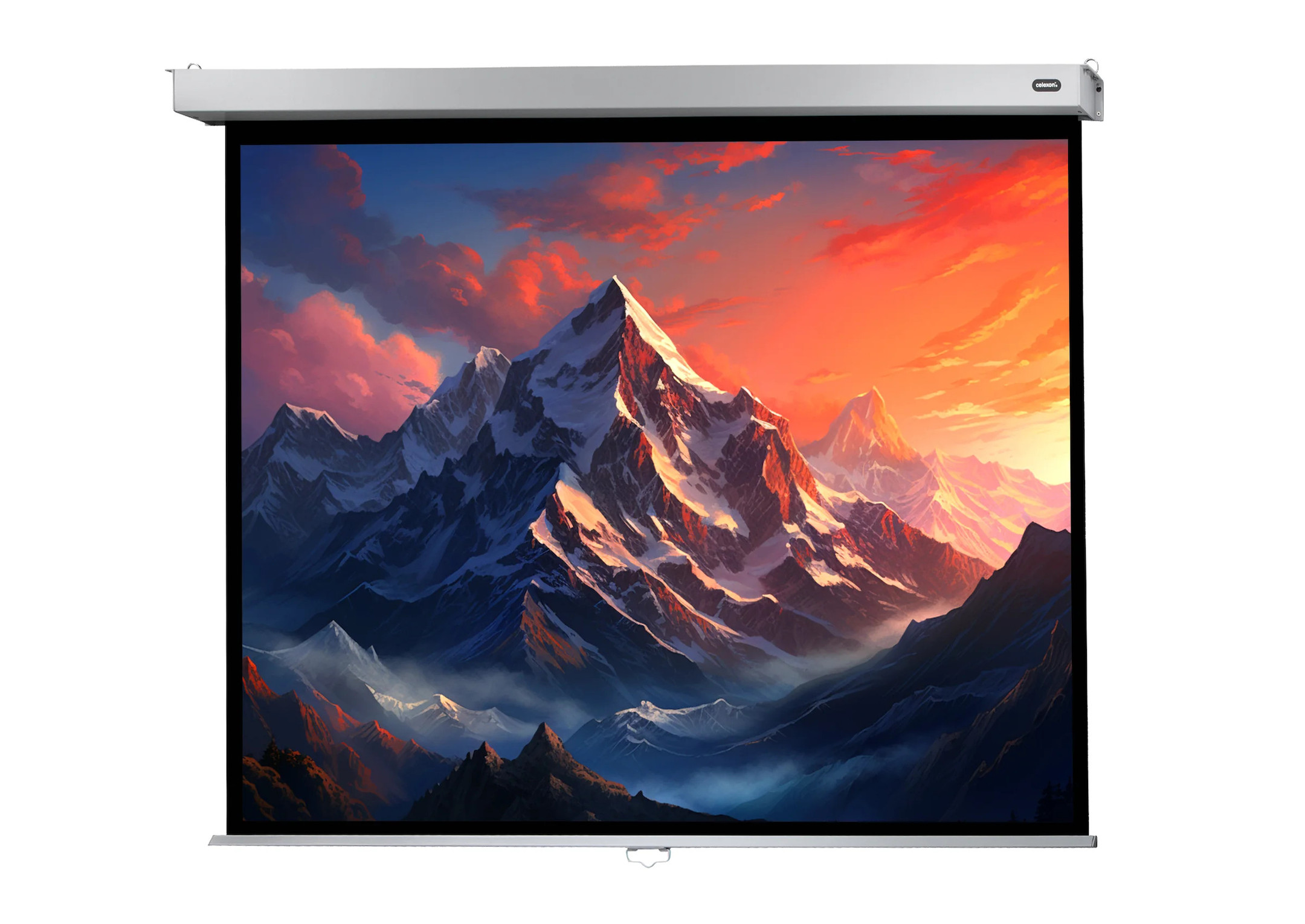 celexon Leinwand Rollo Professional Plus 220 x 165 cm - 108"