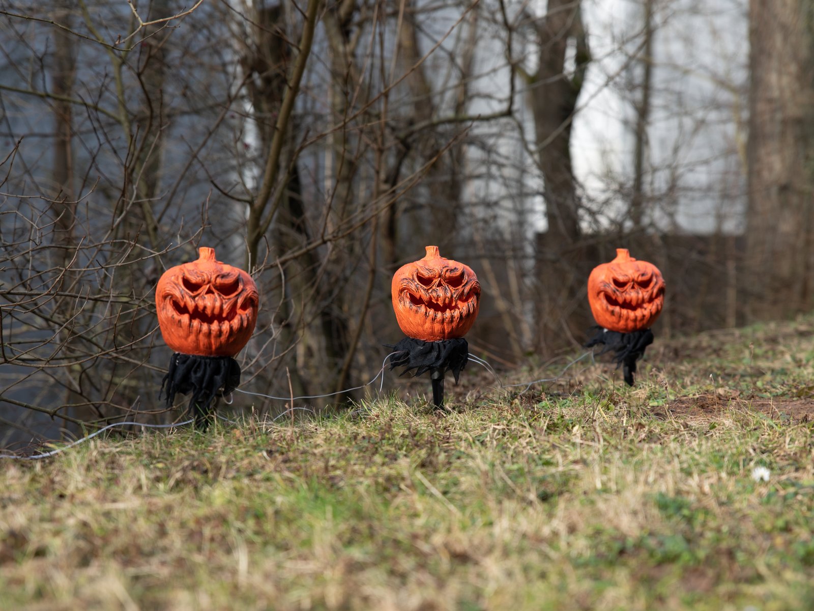 EUROPALMS Halloween Kürbisse mit Erdspieß, 3er-Set, 39cm EUROPALMS Halloween Kürbisse mit Erdspieß, 3er-Set, 39cm