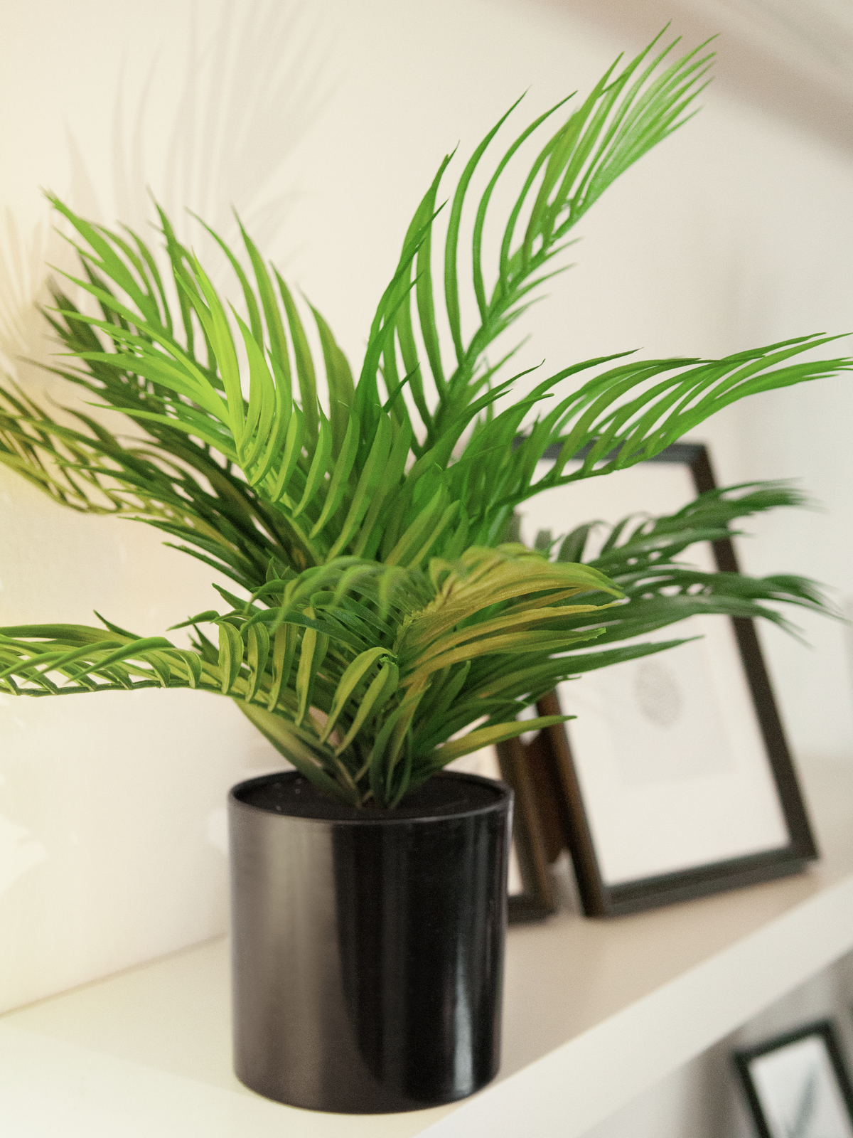 EUROPALMS Goldfruchtpalme, Kunstpflanze, 46 cm EUROPALMS Goldfruchtpalme, Kunstpflanze, 46 cm