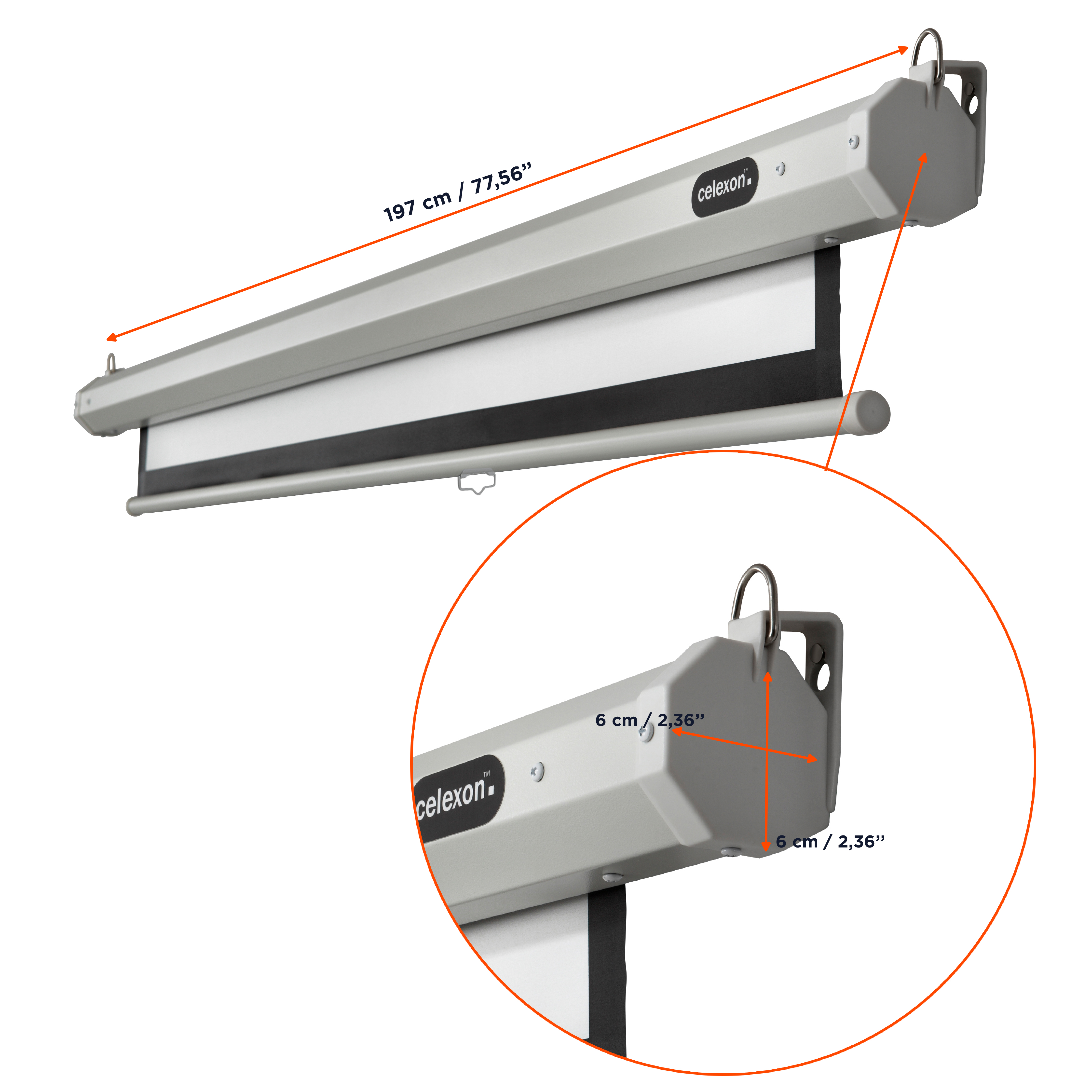 celexon Leinwand Rollo Economy 180 x 180 cm