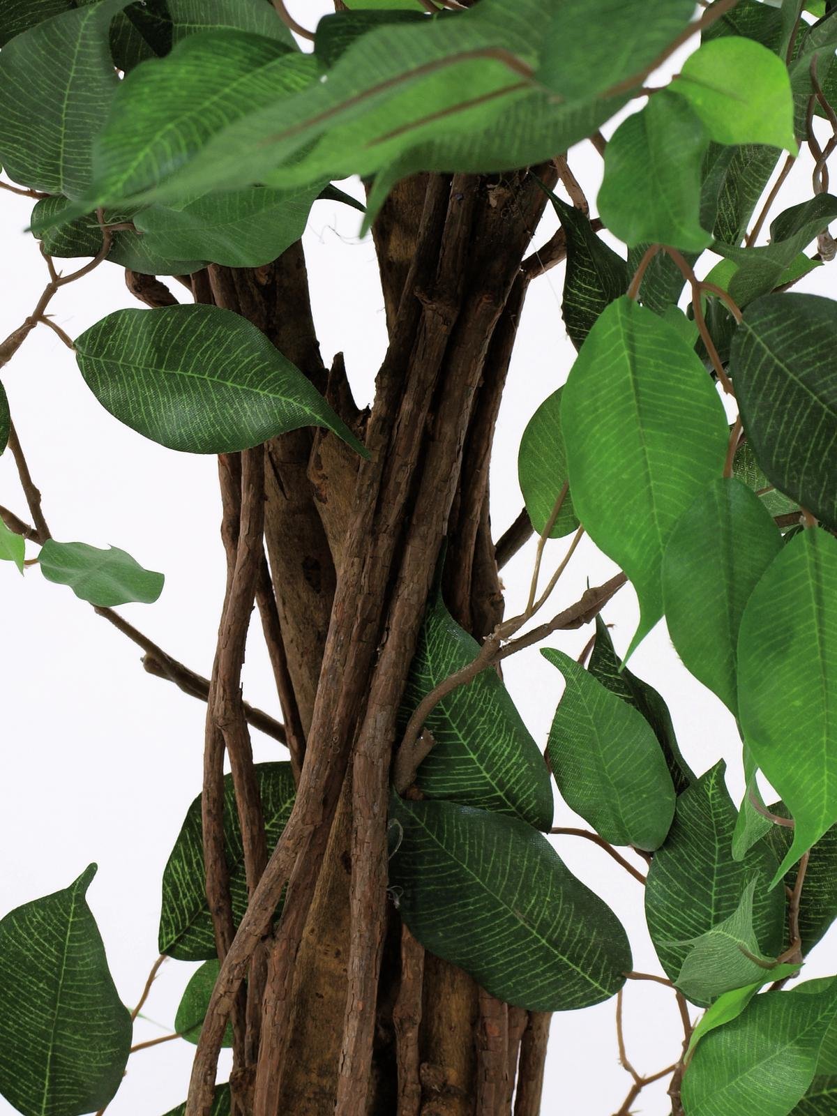 EUROPALMS Ficus-Benjamini Multi-Stamm, Kunstpflanze, 210cm EUROPALMS Ficus-Benjamini Multi-Stamm, Kunstpflanze, 210cm