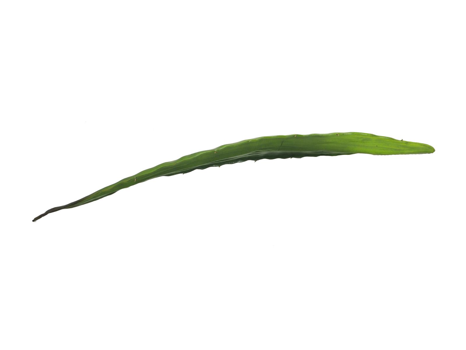 EUROPALMS Aloeblatt (EVA), künstlich, grün, 60cm EUROPALMS Aloeblatt (EVA), künstlich, grün, 60cm
