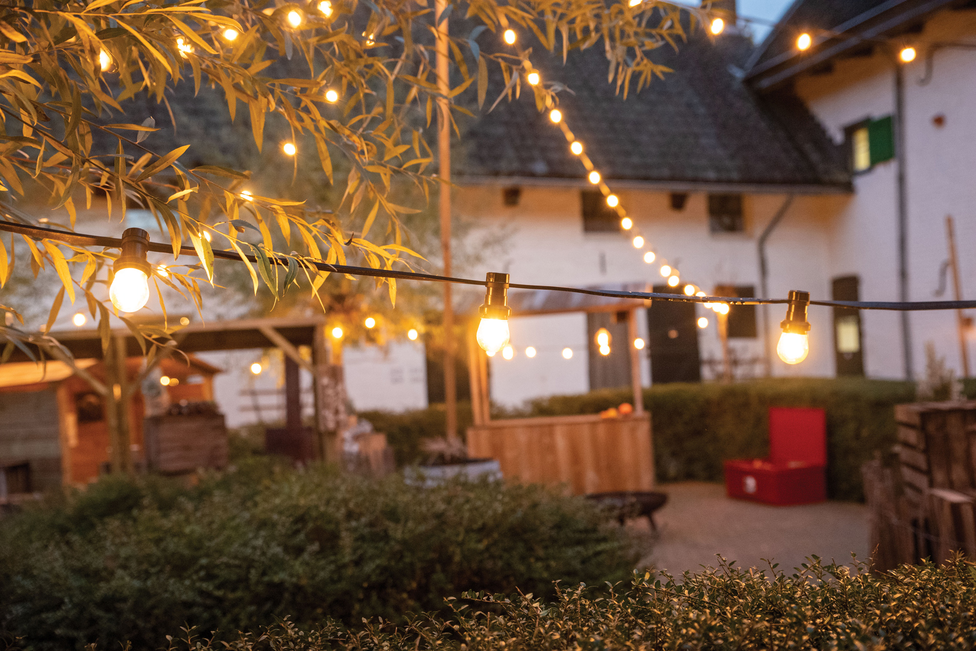 SHOWGEAR Festoon Light E27 Black, 10M 50 cm Abstand - schwarz - 10 m