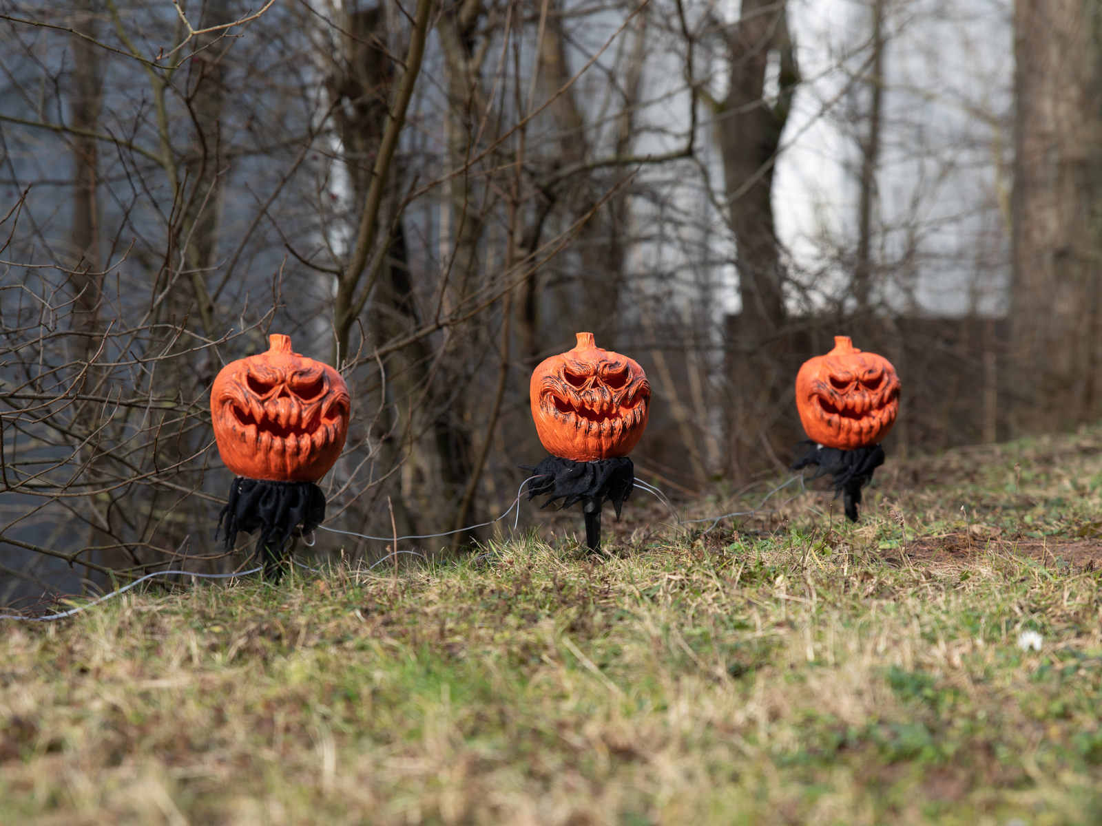 EUROPALMS Halloween Kürbisse mit Erdspieß, 3er-Set, 39cm EUROPALMS Halloween Kürbisse mit Erdspieß, 3er-Set, 39cm