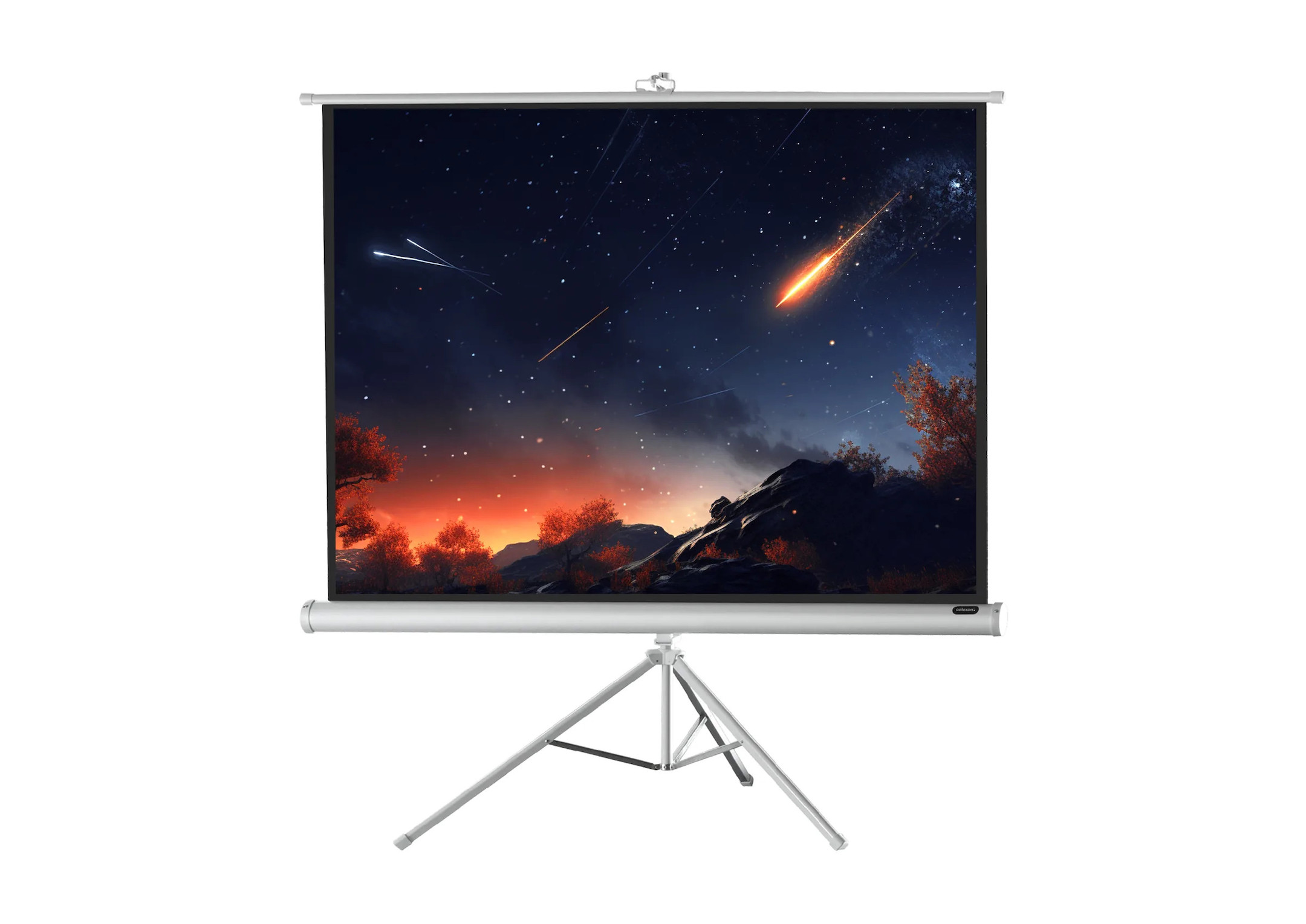 celexon Stativleinwand Economy 244 x 183 cm - White Edition