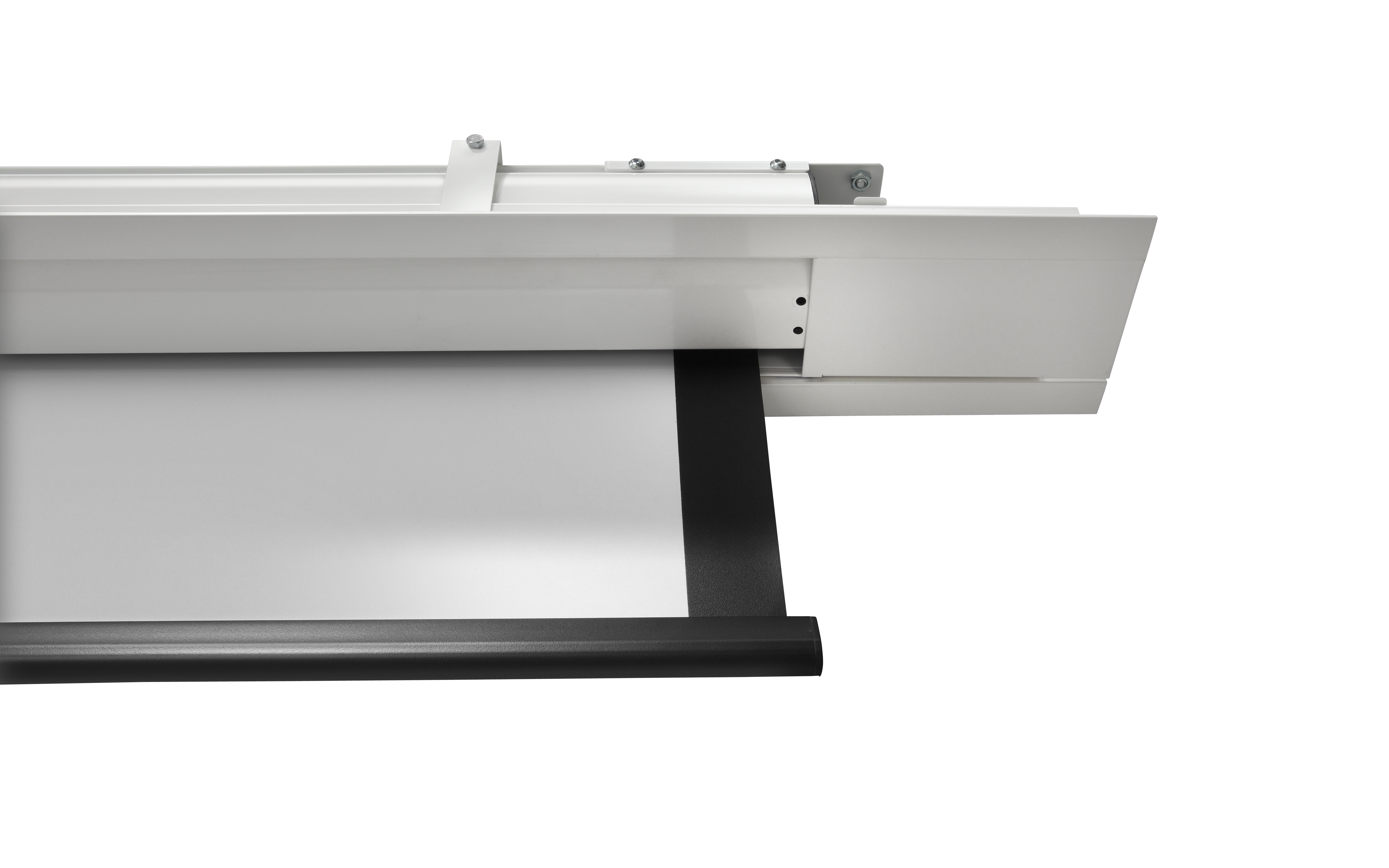 celexon Deckeneinbau Leinwand Motor Expert 250 x 140 cm