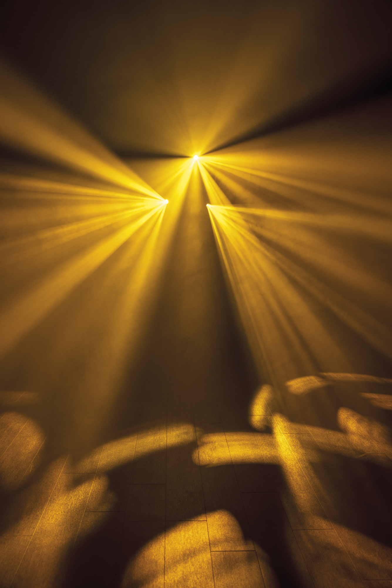 SHOWTEC Dataflower LED Effektleuchte