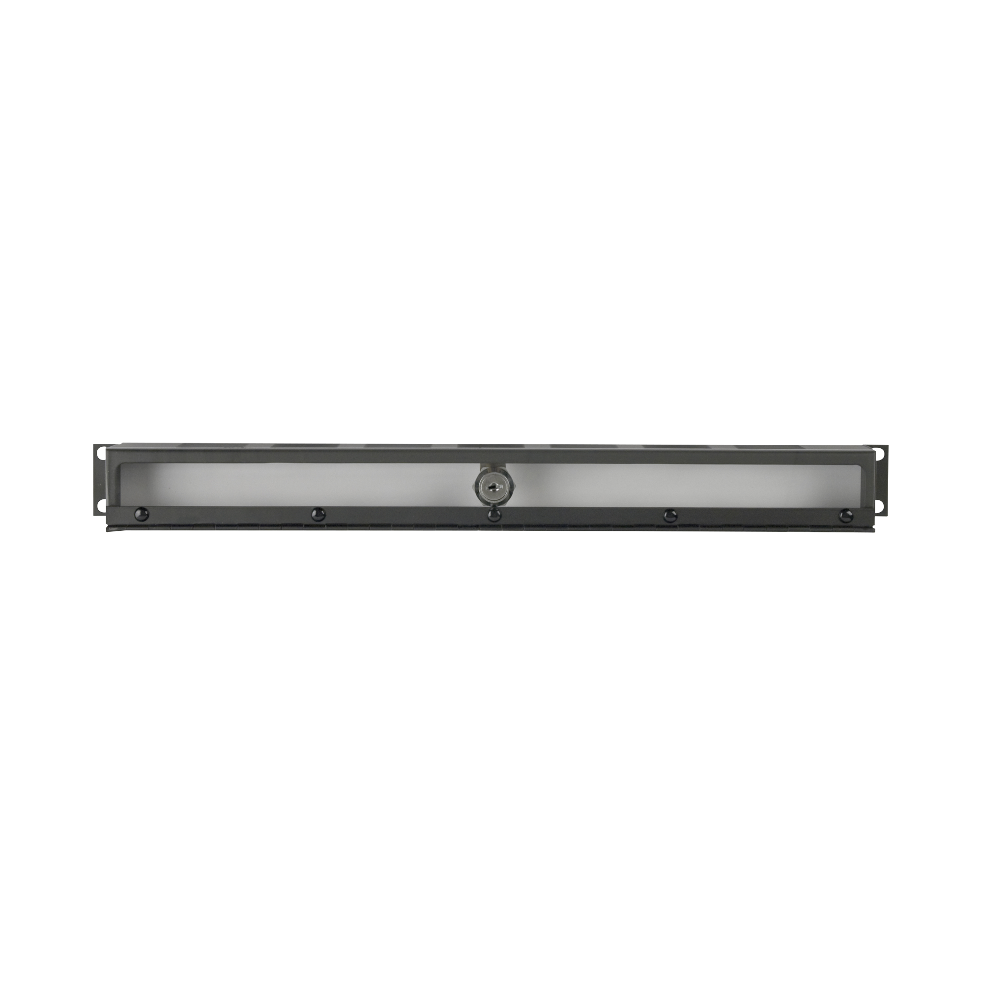 SHOWGEAR 19 Inch Protection Panel with Locker 19 Zoll/1HE SHOWGEAR 19 Inch Protection Panel with Locker 19 Zoll/1HE