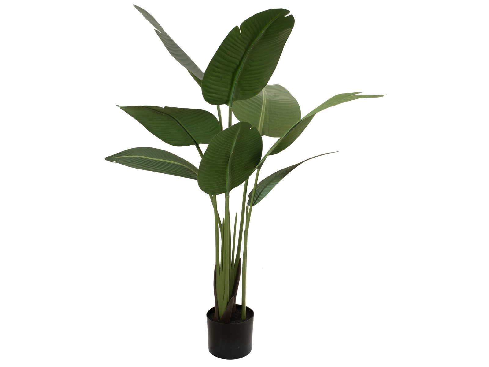 EUROPALMS Strelitzie, Kunstpflanze, 110cm EUROPALMS Strelitzie, Kunstpflanze, 110cm