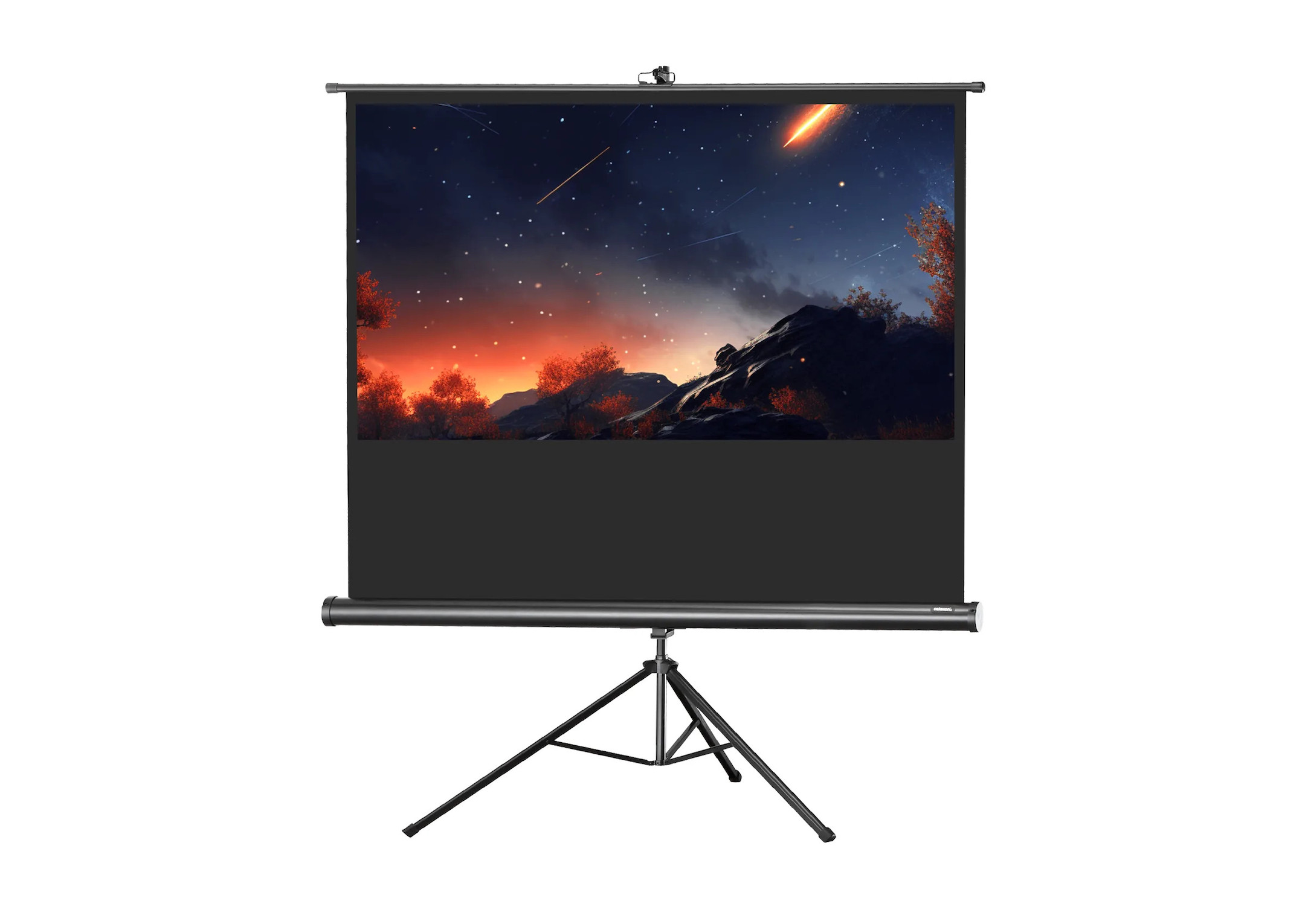 celexon Stativleinwand Economy 244 x 138 cm celexon Stativleinwand Economy 244 x 138 cm