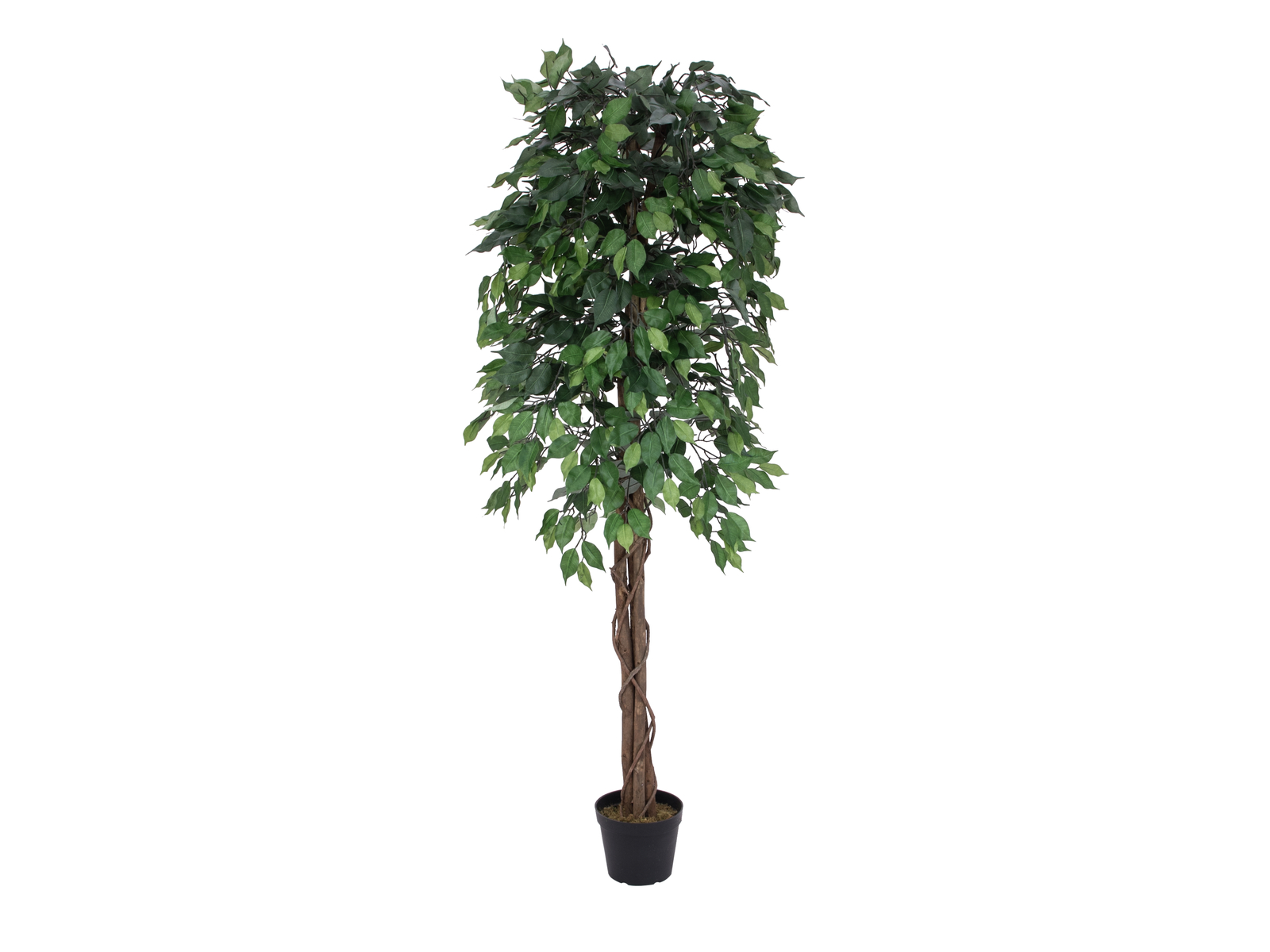 EUROPALMS Ficus-Benjamini Multi-Stamm, Kunstpflanze, 180cm