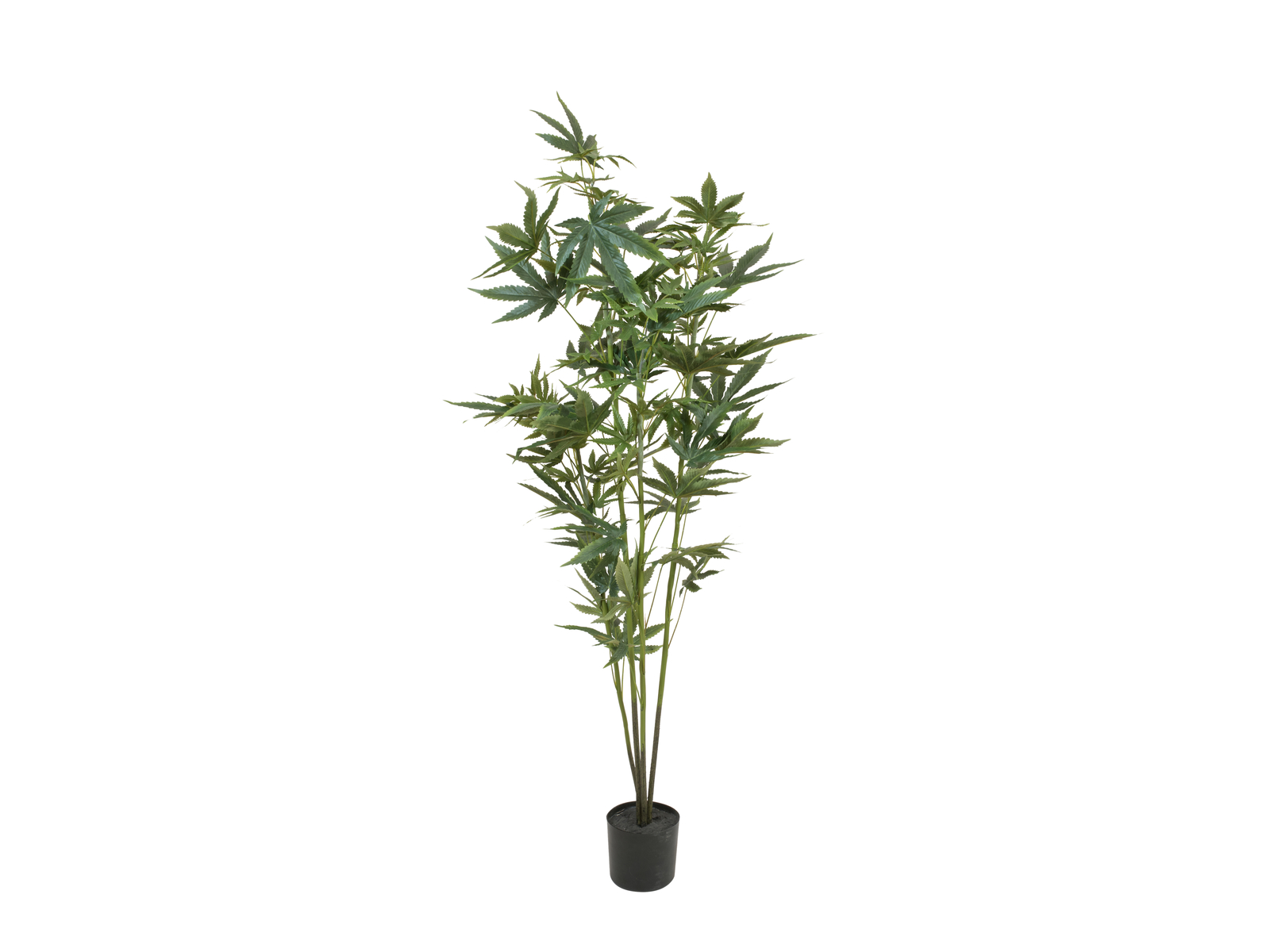 EUROPALMS Hanfpflanze, Kunstpflanze, 120cm
