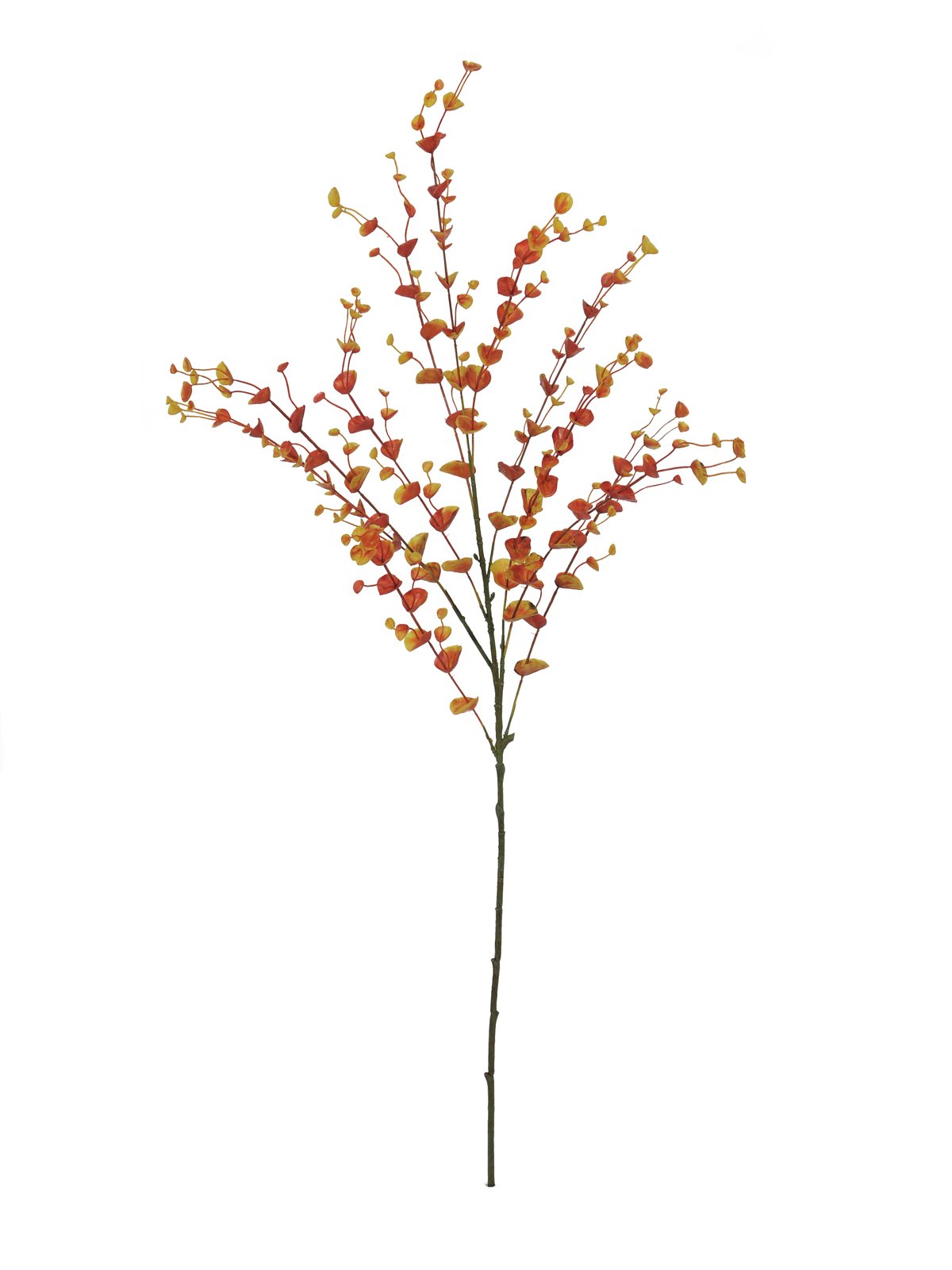 EUROPALMS Eukalyptuszweig, künstlich, orange, 110cm EUROPALMS Eukalyptuszweig, künstlich, orange, 110cm