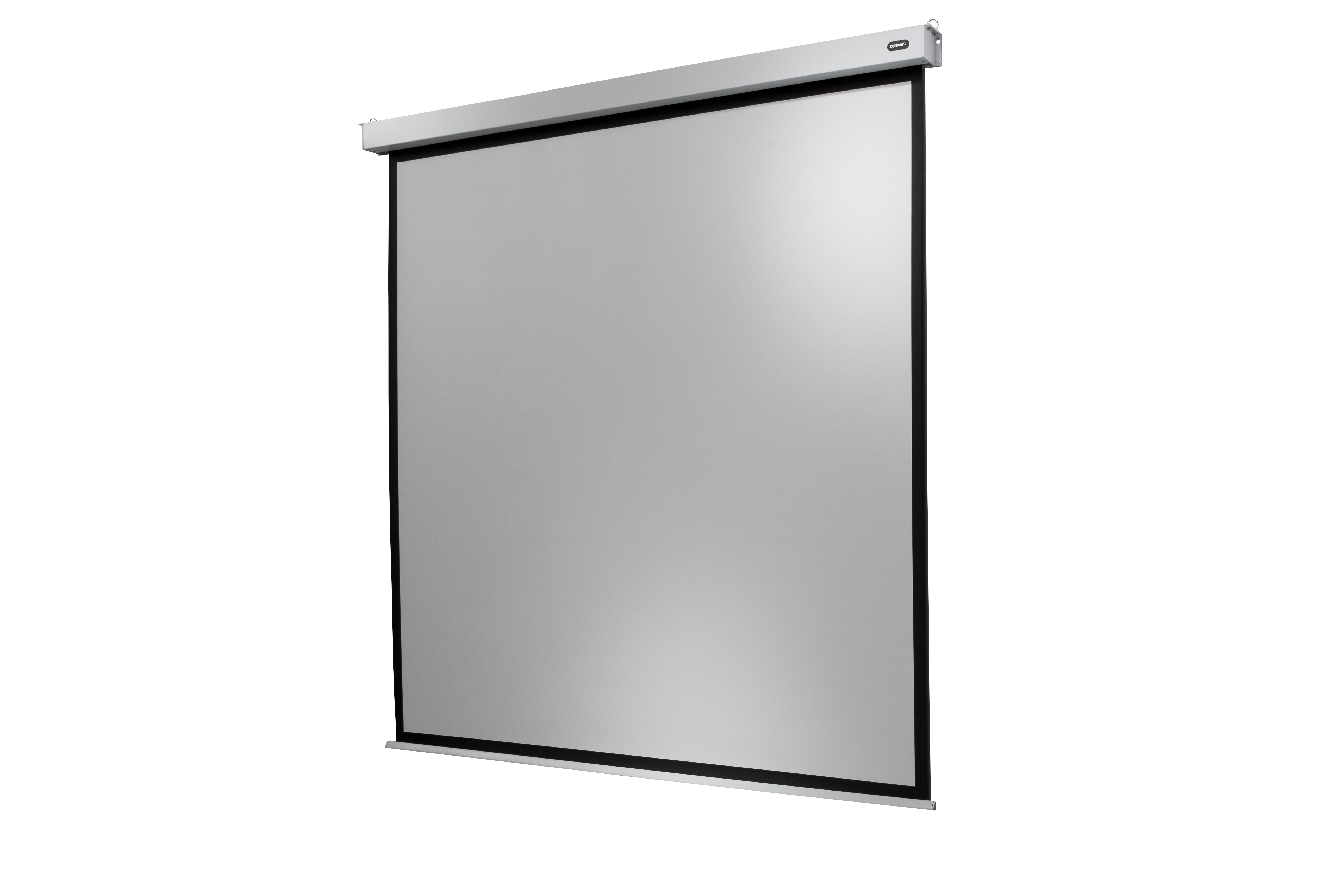 celexon Leinwand Motor Professional Plus 300 x 300 cm