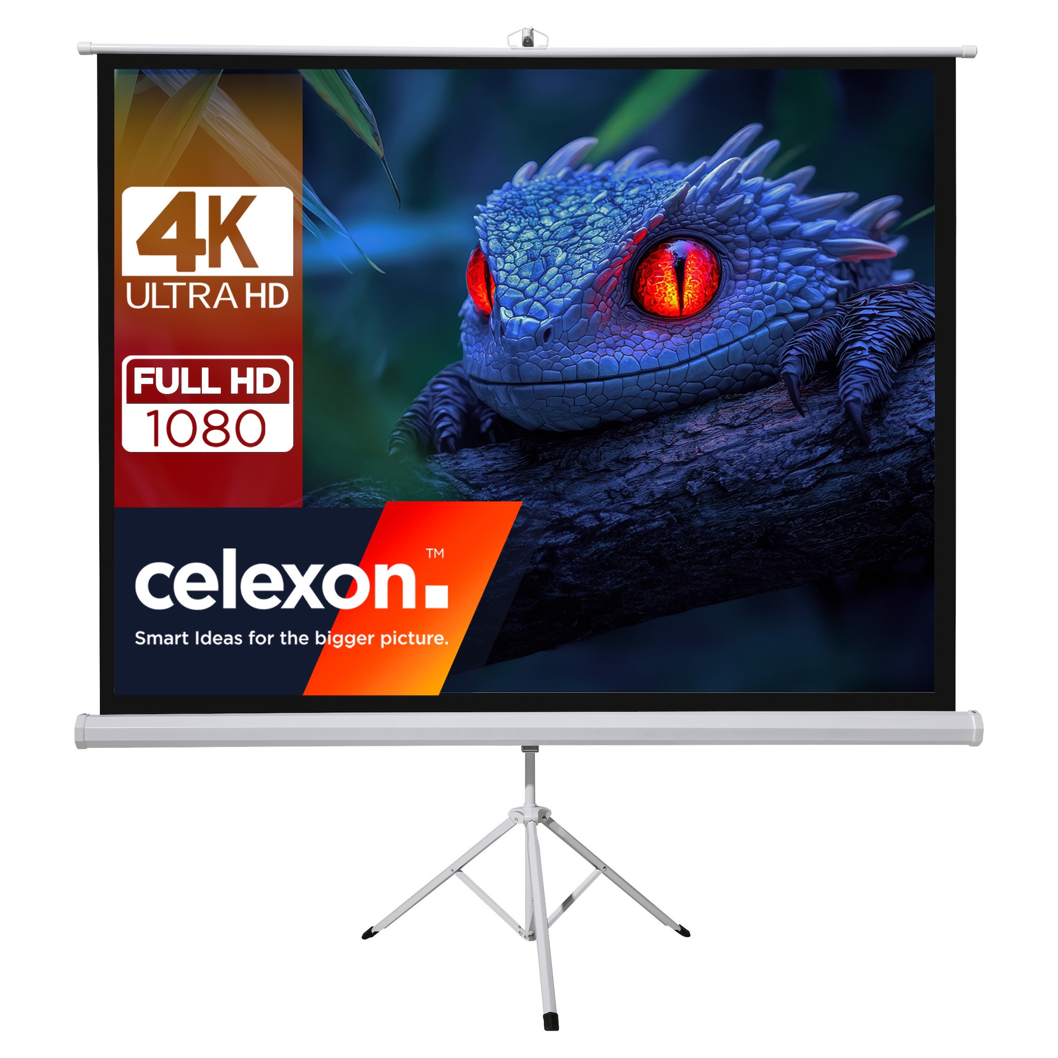 celexon basic Stativ-Leinwand 110" | 200x200 cm 1:1 | mobile transportable 4K, Full-HD Leinwand | Beamerleinwand mit Stativ für Heimkino- und Büropräsentationen | Blitzschneller Aufbau in 3 Schritten